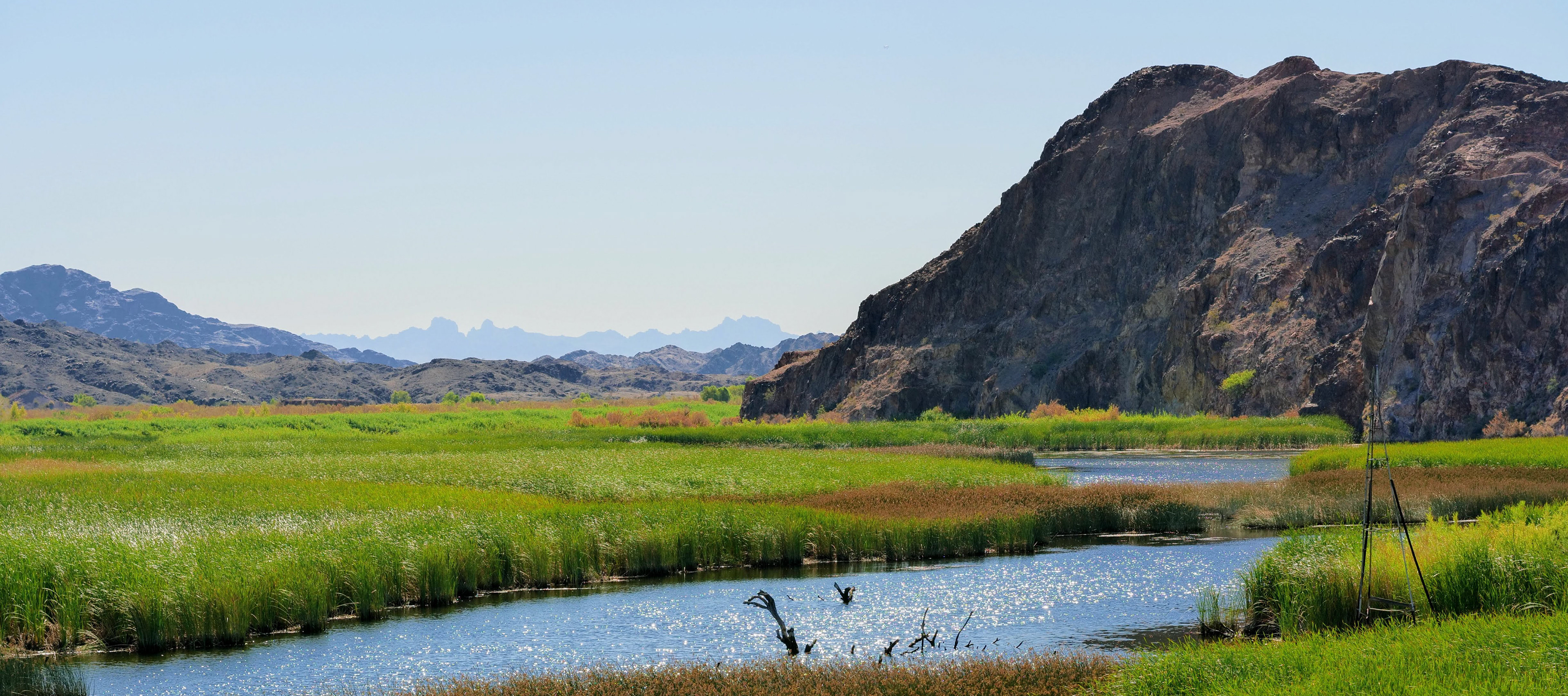 Picacho State Recreation Area, near Yuma, Arizona