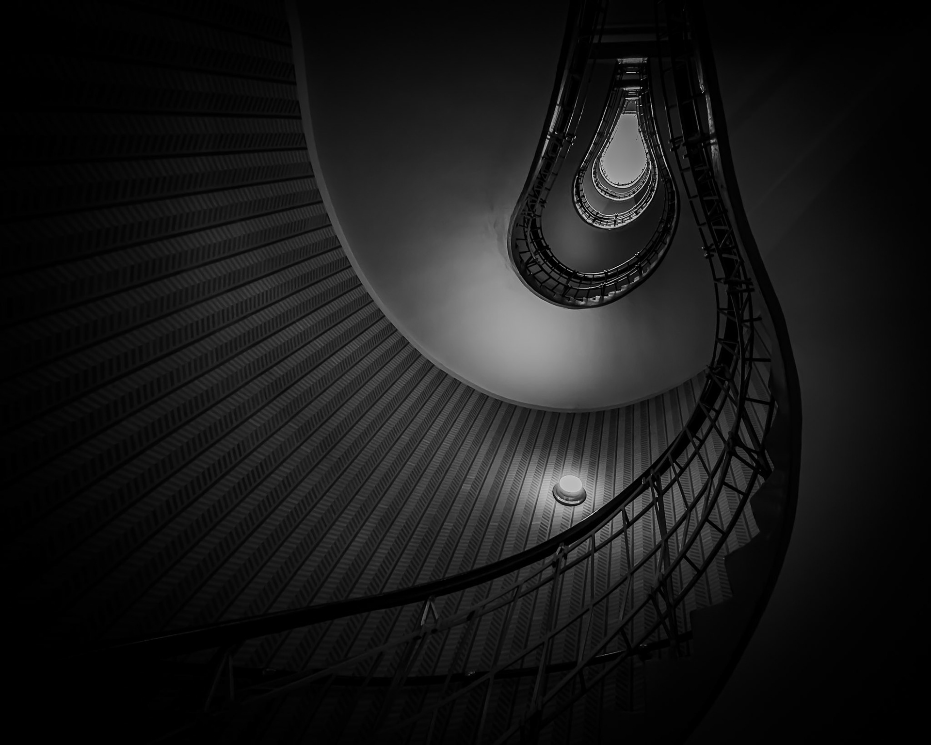 A black-and-white view looking up a spiral staircase shaped like a lightbulb. The stark lighting, deep shadows, and sweeping curves create a striking contrast and a sense of architectural mystery and elegance.