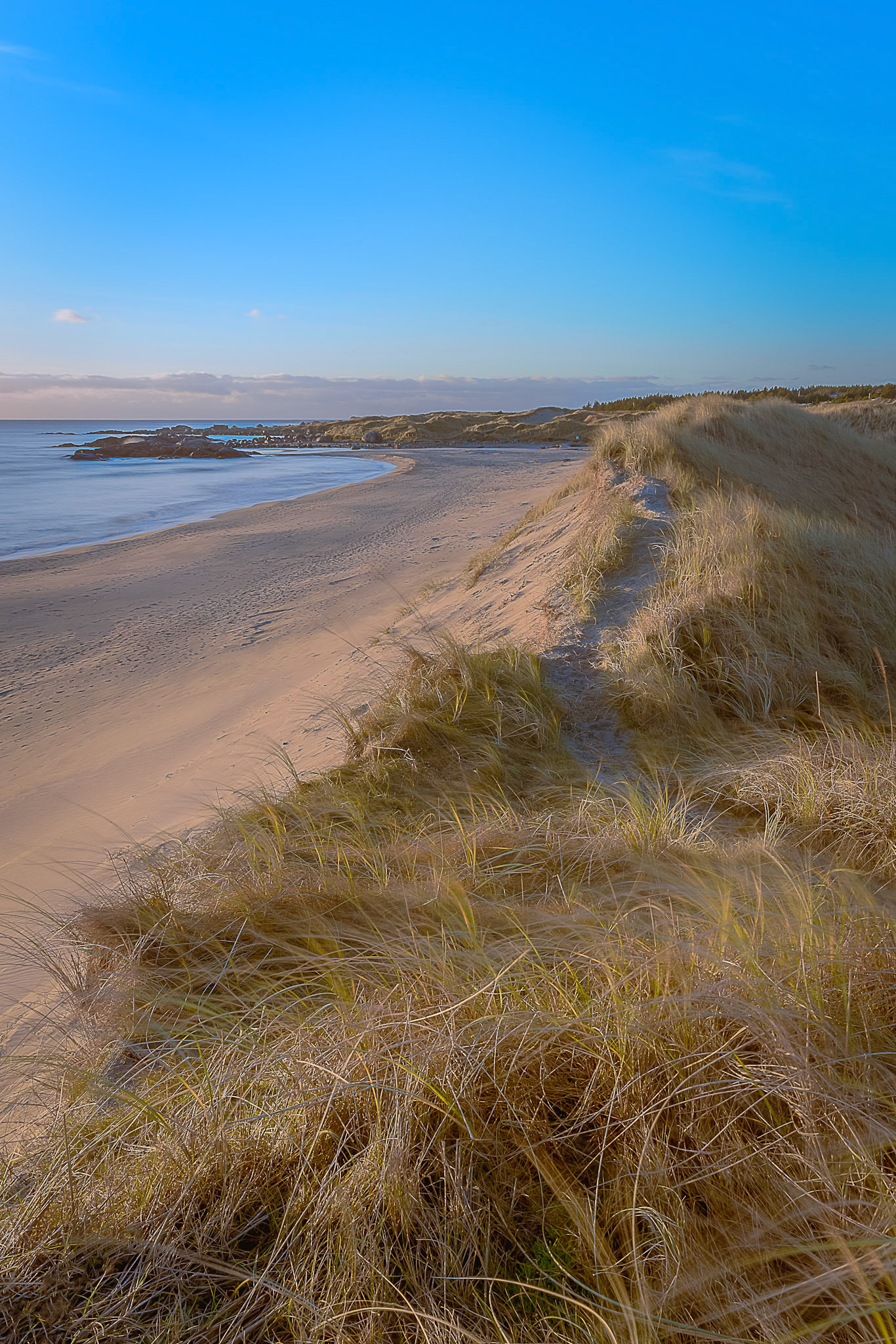 Grass and sand dunes on Brusan beach, south of Stavanger