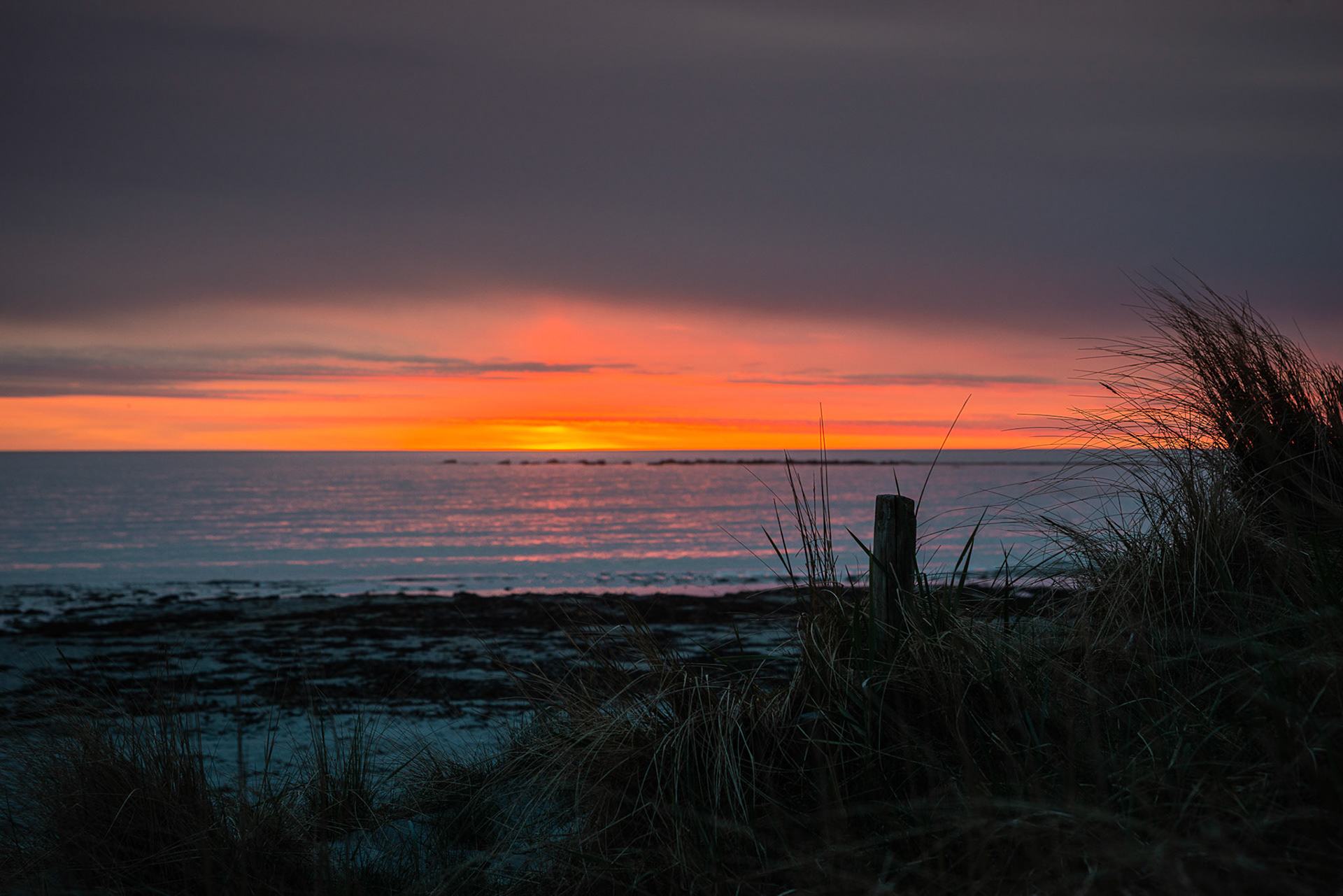 A beautiful sunset at the beach. Some wind in the air makes it a chill evening, and you can fell the calmness of the ocean and grass in the wind.
