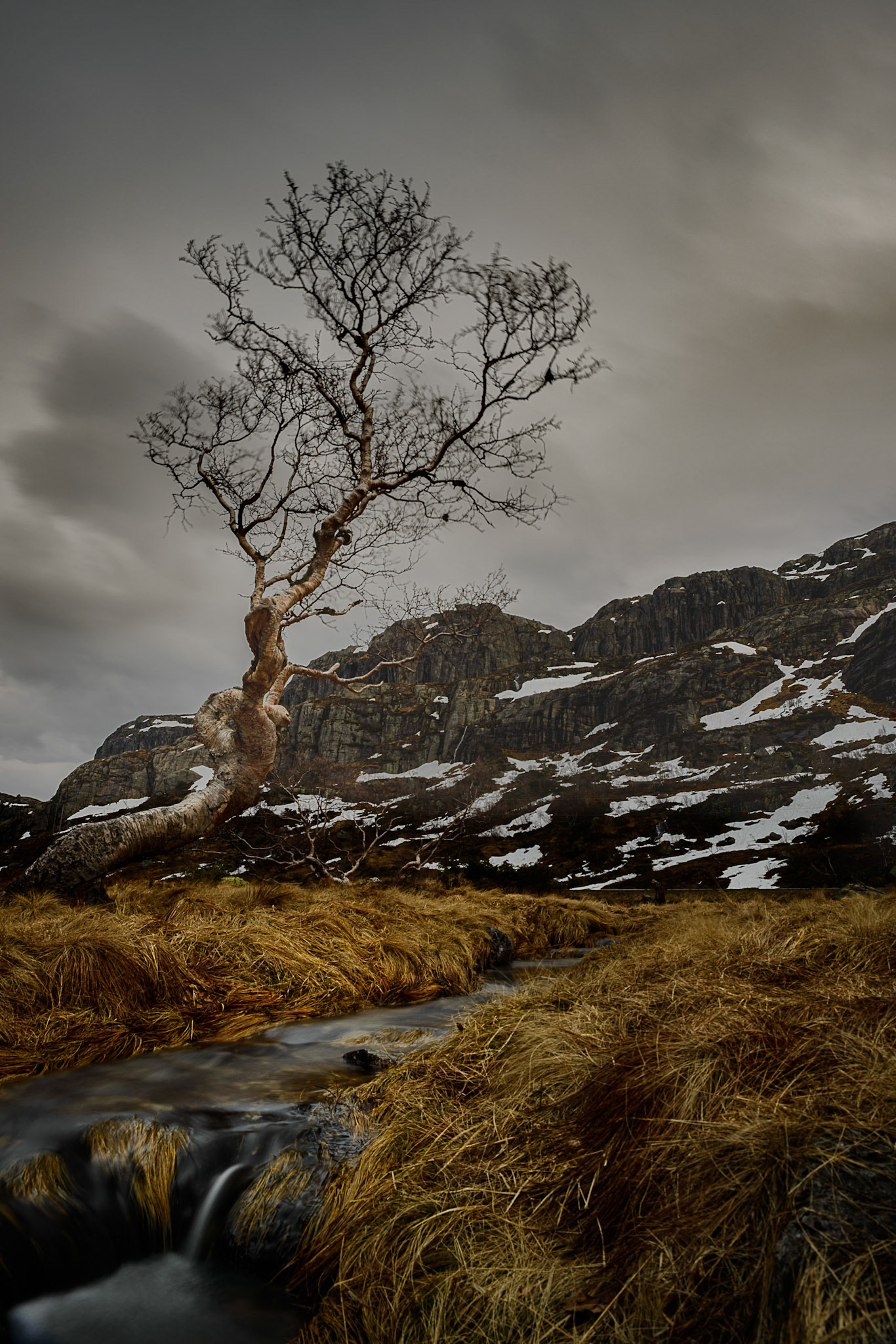 Alongside the road to mountain area Sirdal a tree and river makes a nice combination, and is a beautiful sight in the landscape scenery