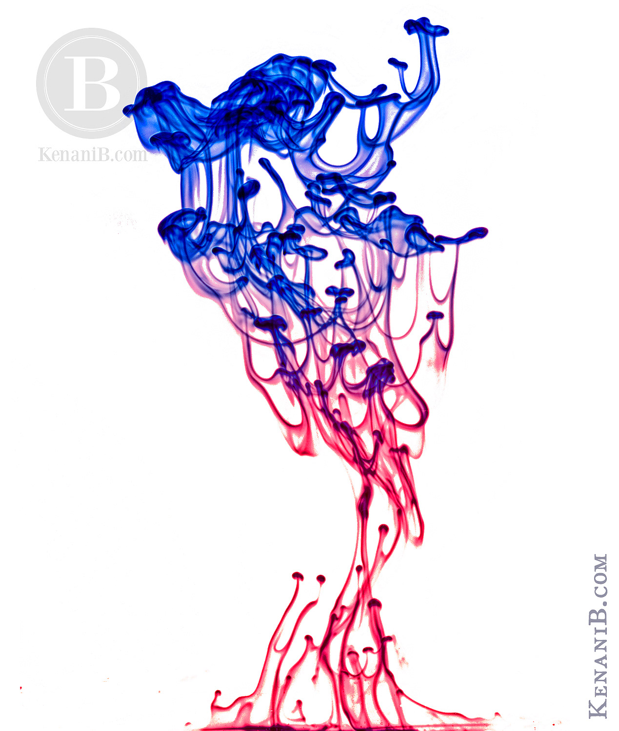 Ink in Water, Marketing Image