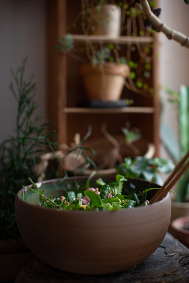 THE EARTH BOWL / MISA ZIEMIA