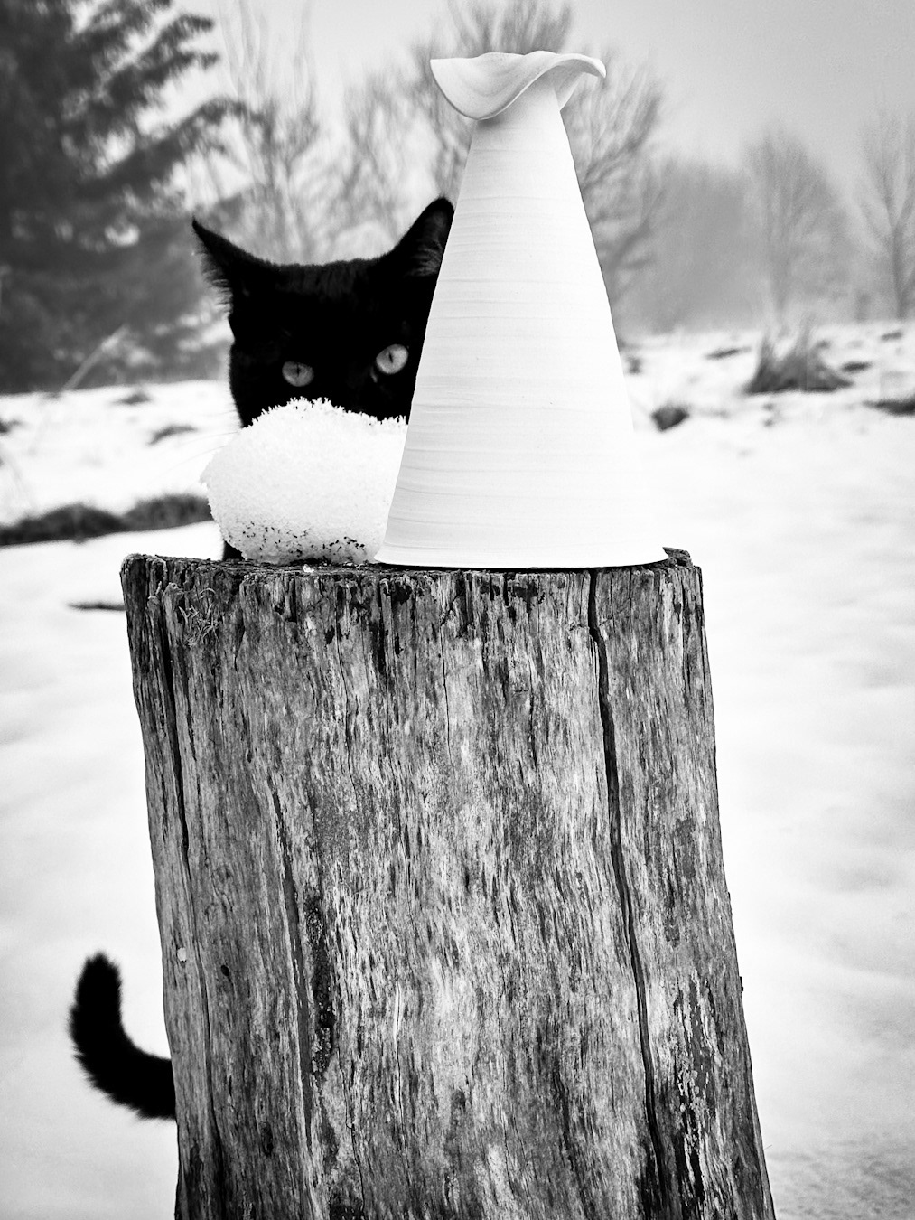 TOTEM #1