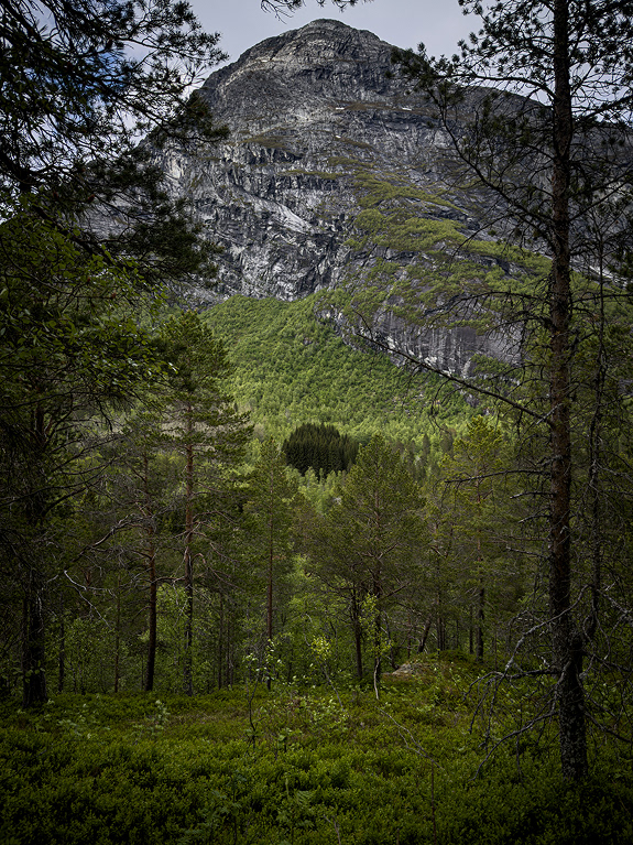 VALLDAL