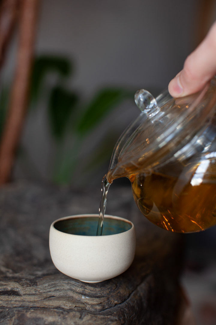 THE EARTH CUP