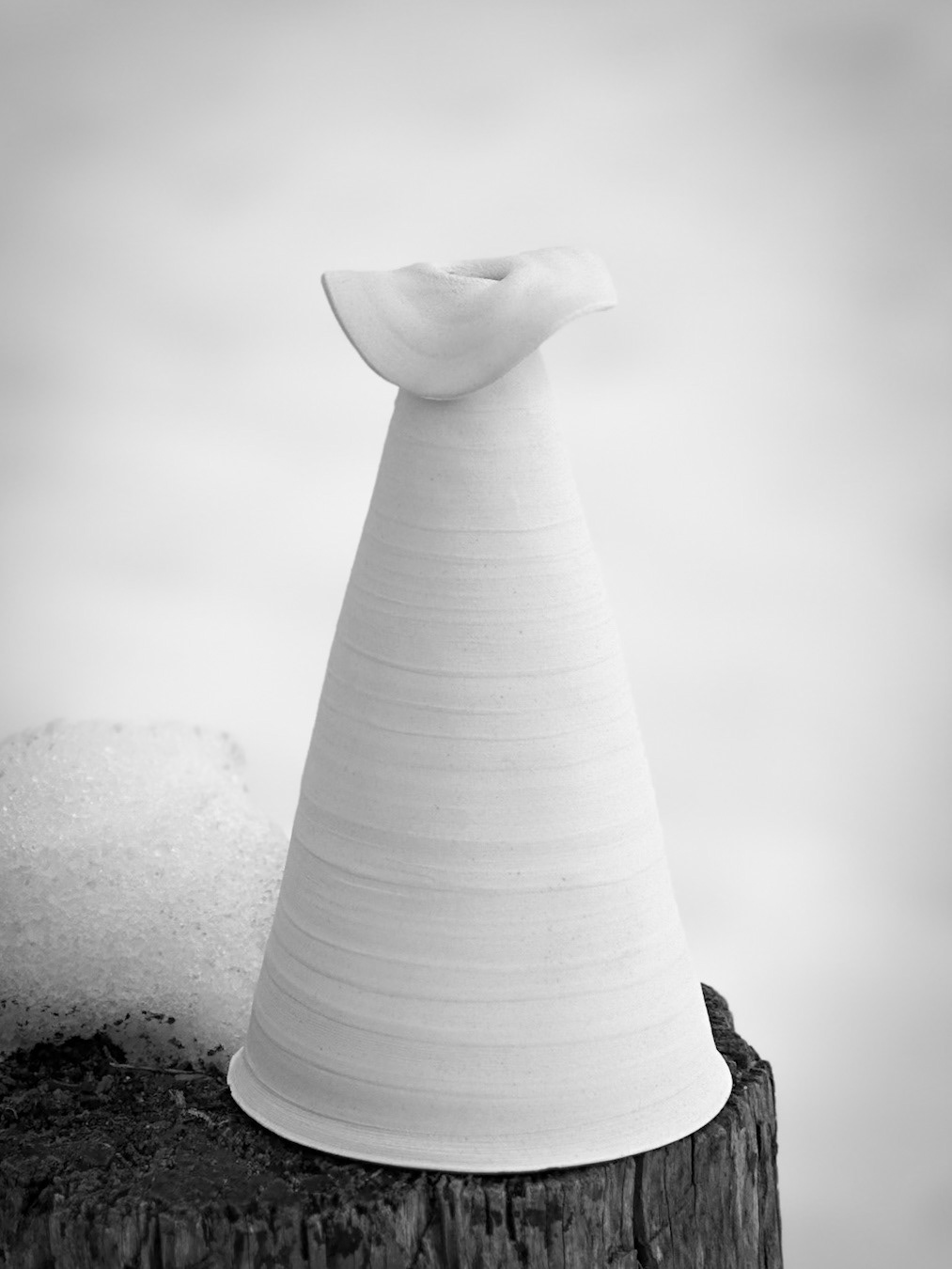 TOTEM #1