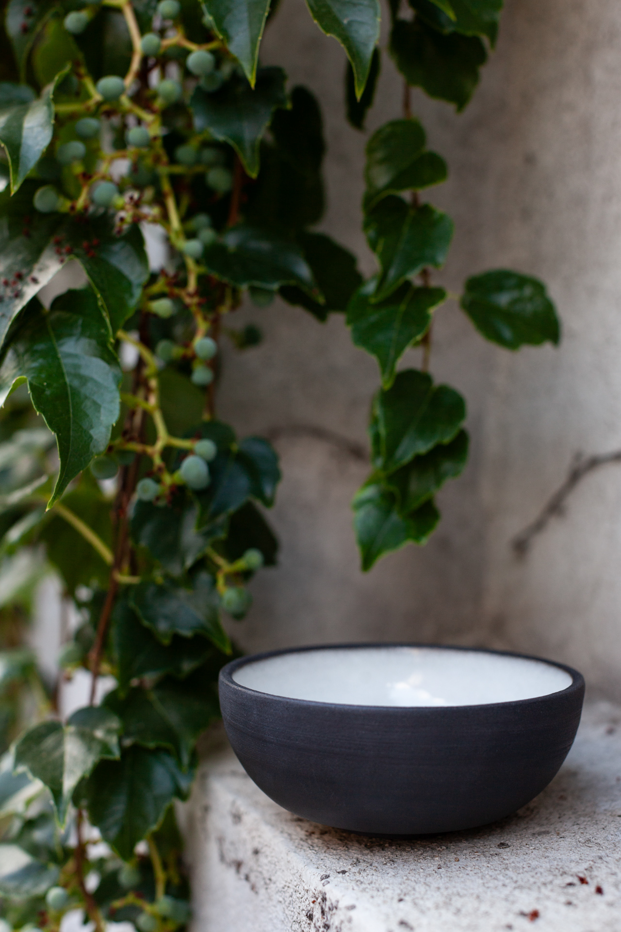 TAO BOWL