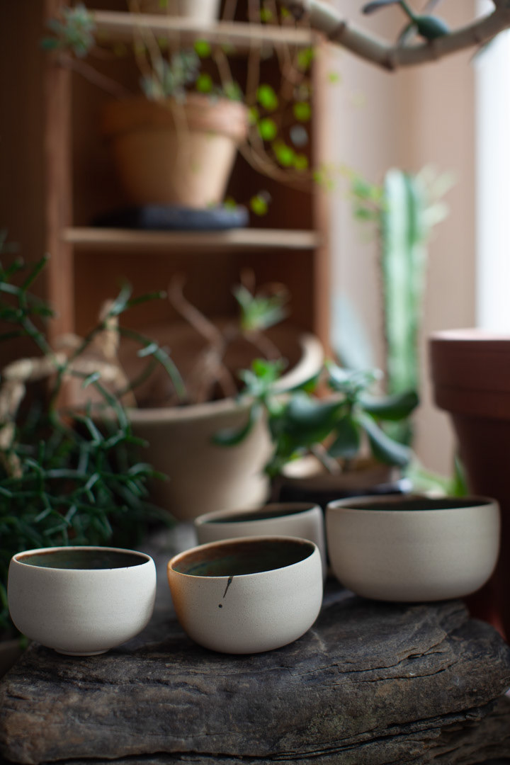 THE EARTH CUPS