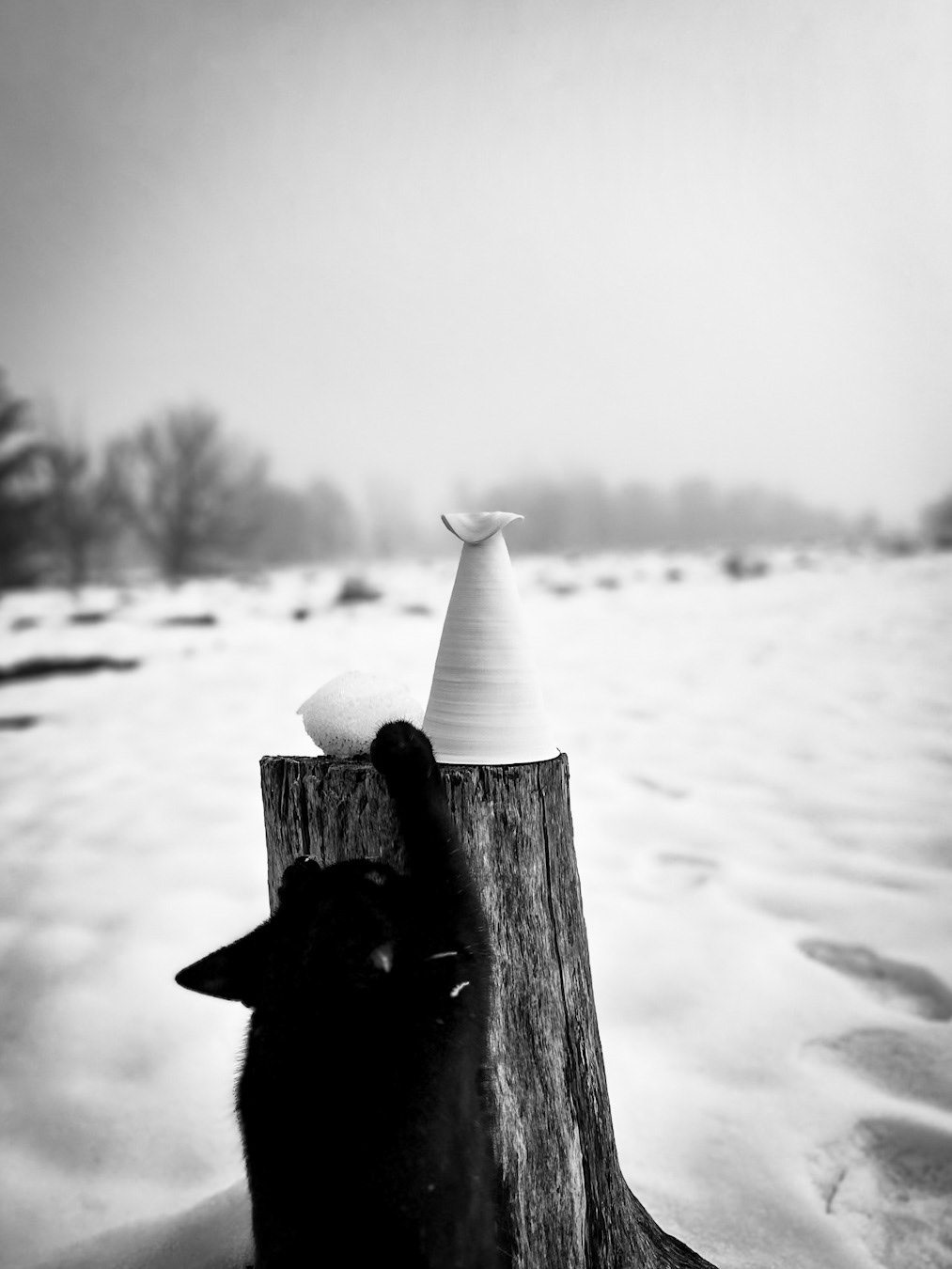 TOTEM #1