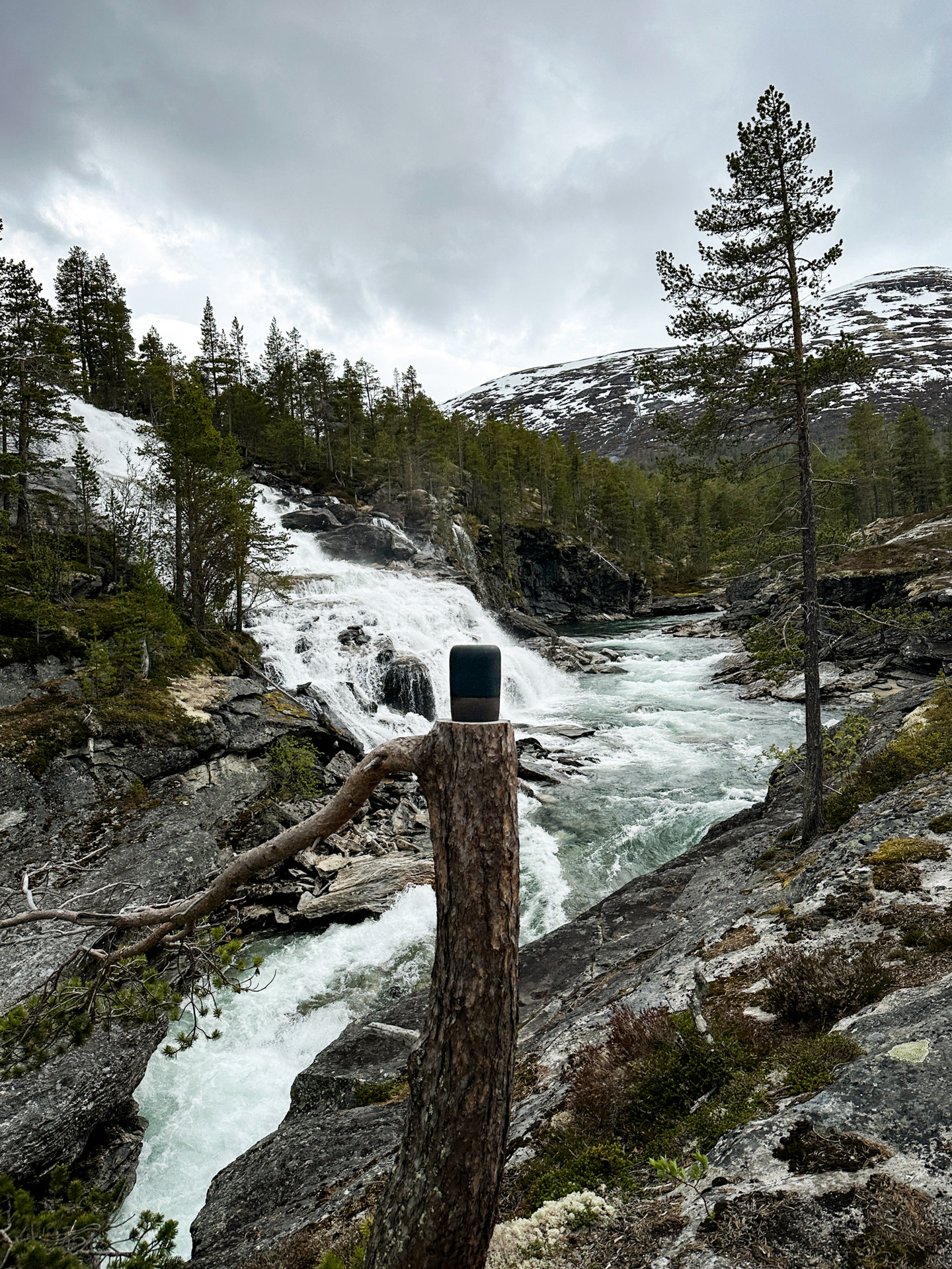 VALLDAL