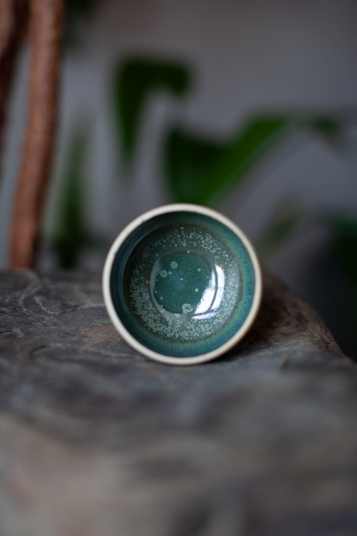 THE EARTH CUP