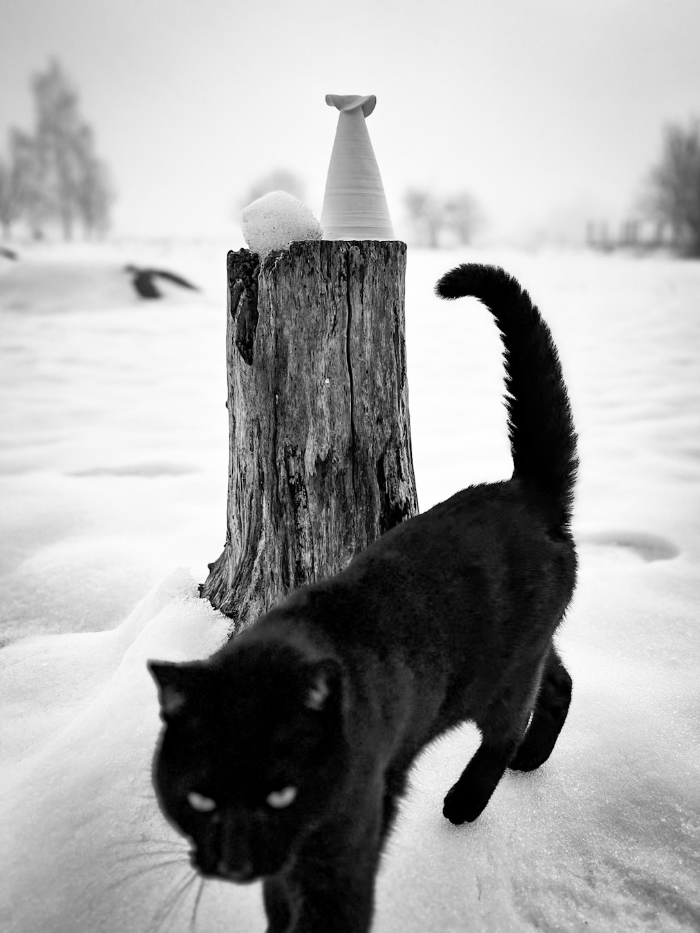 TOTEM #1