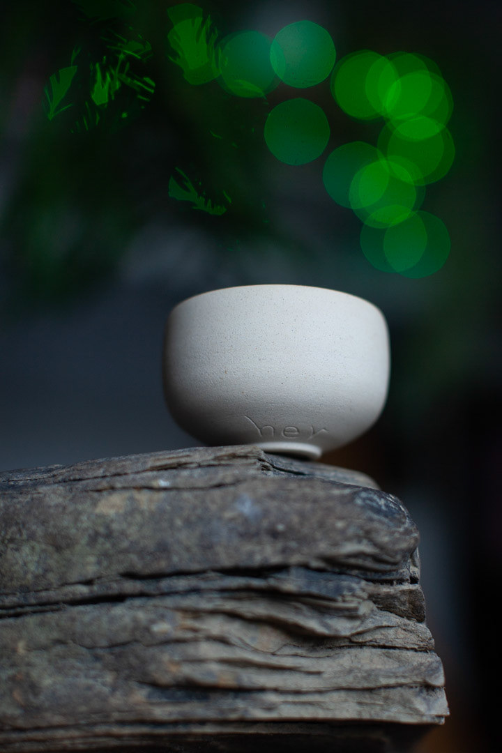 THE EARTH CUP