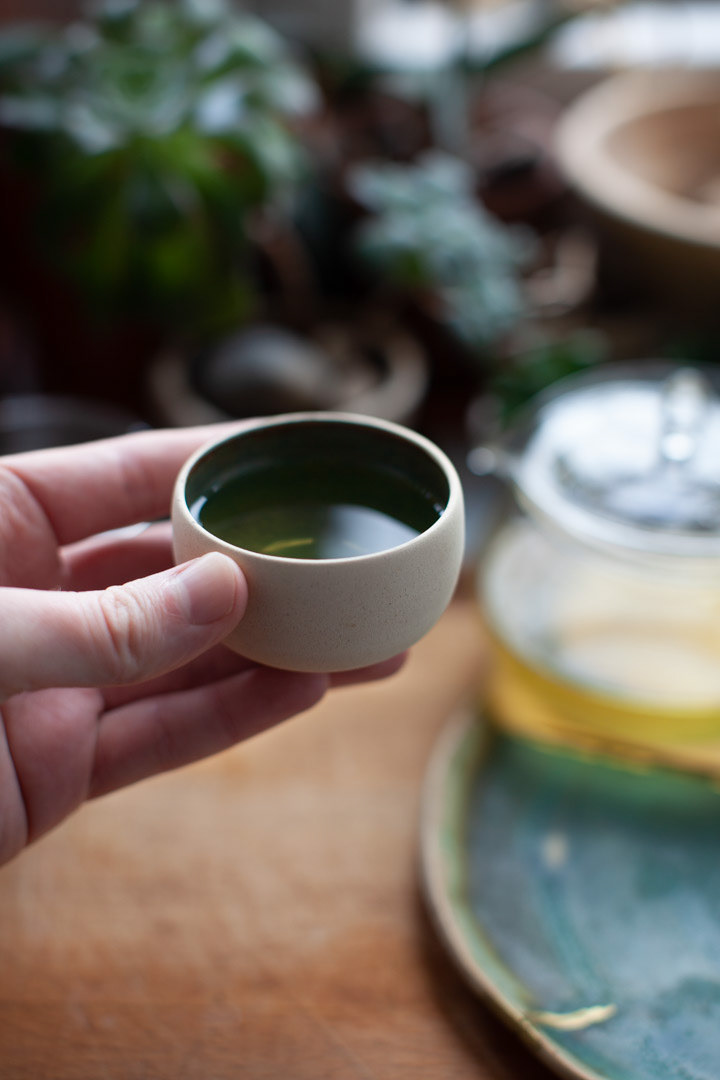 THE EARTH CUP