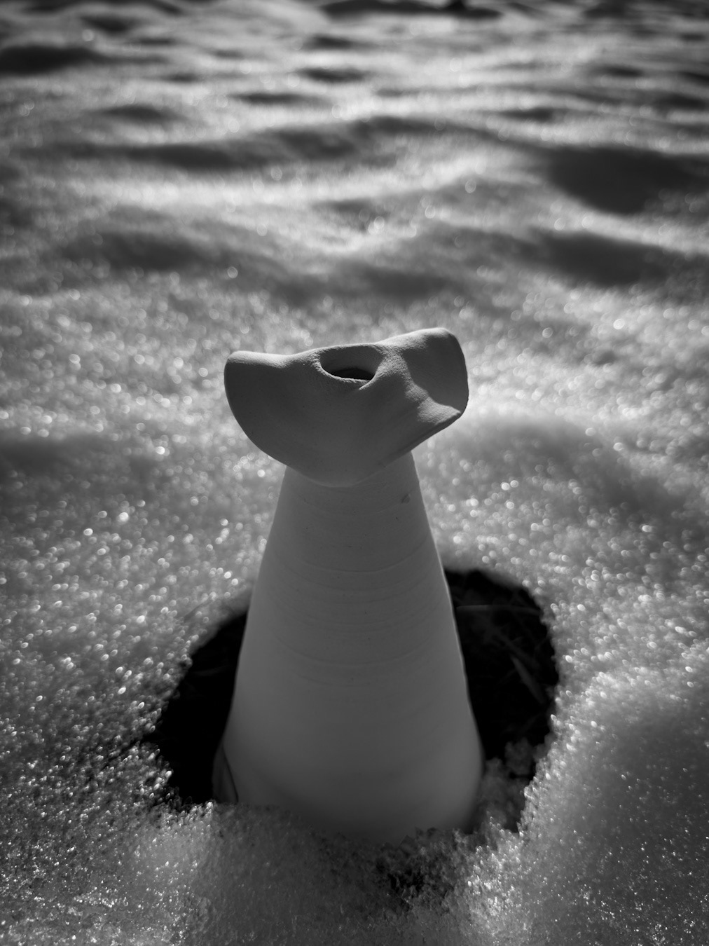 TOTEM #1
