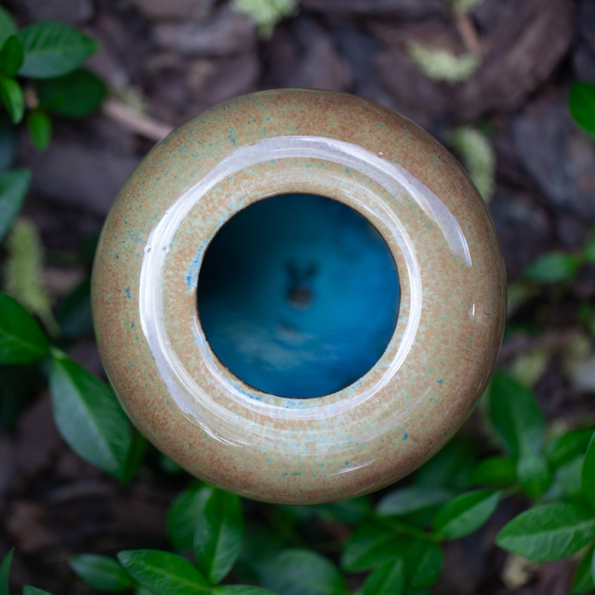 PYKACZ ZIEMIA / THE EARTH PUFFER