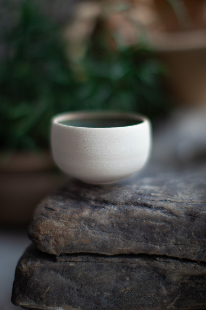 THE EARTH CUP