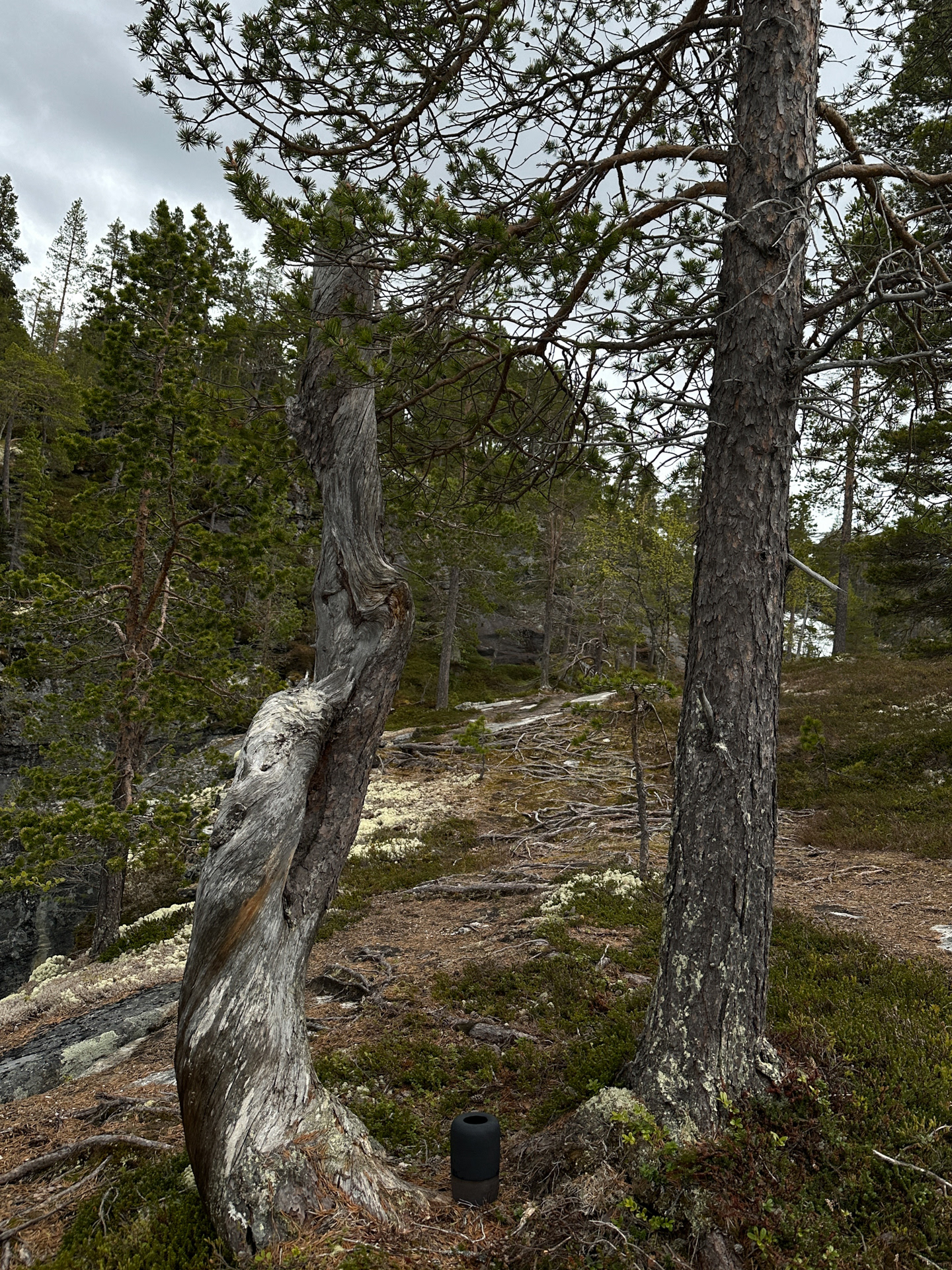 VALLDAL