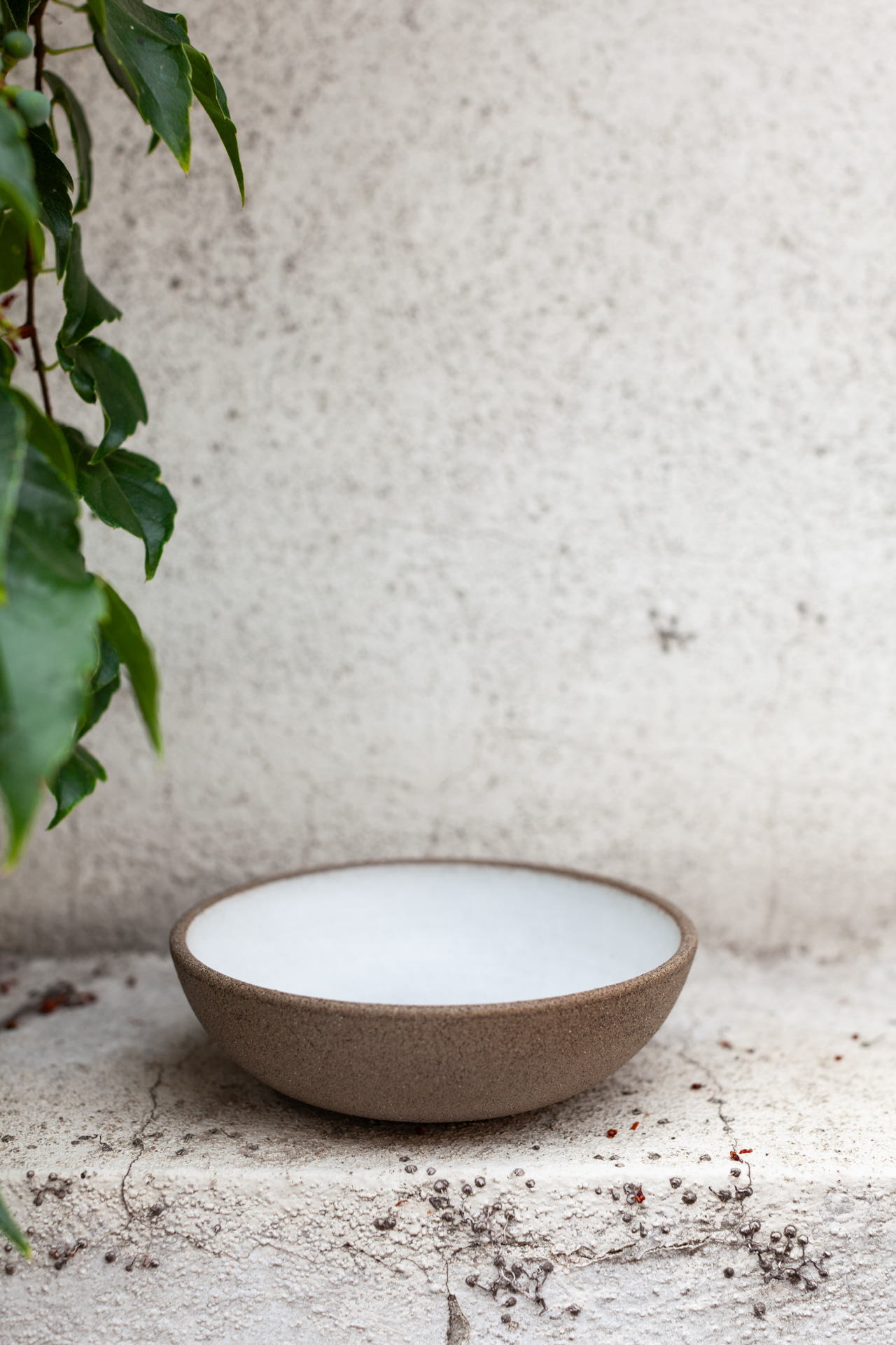 TAO WU WEI BOWL