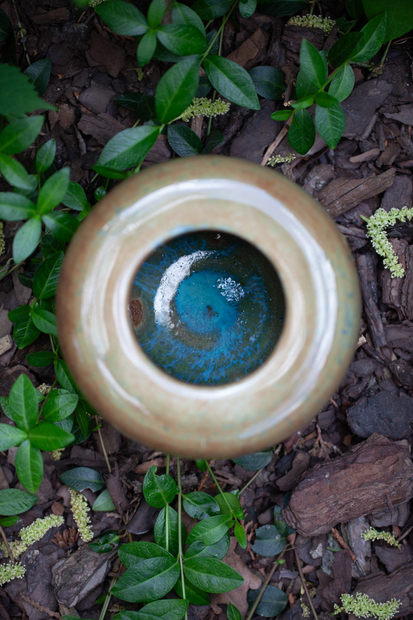 PYKACZ ZIEMIA / THE EARTH PUFFER