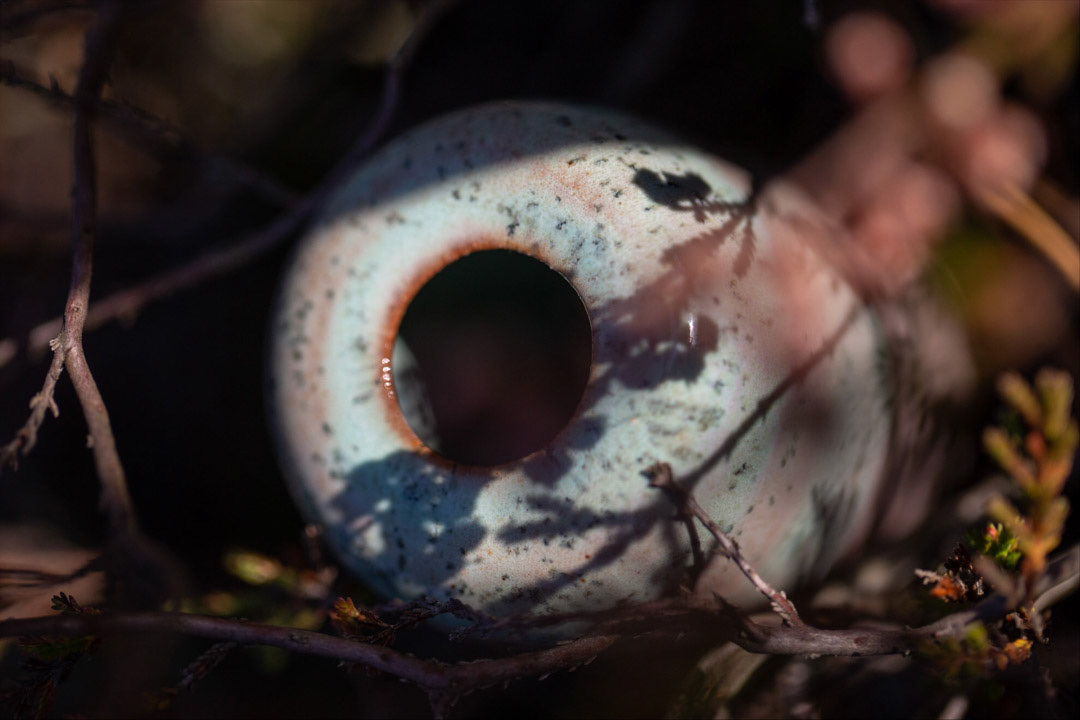PYKACZ ZIEMIA / THE EARTH PUFFER