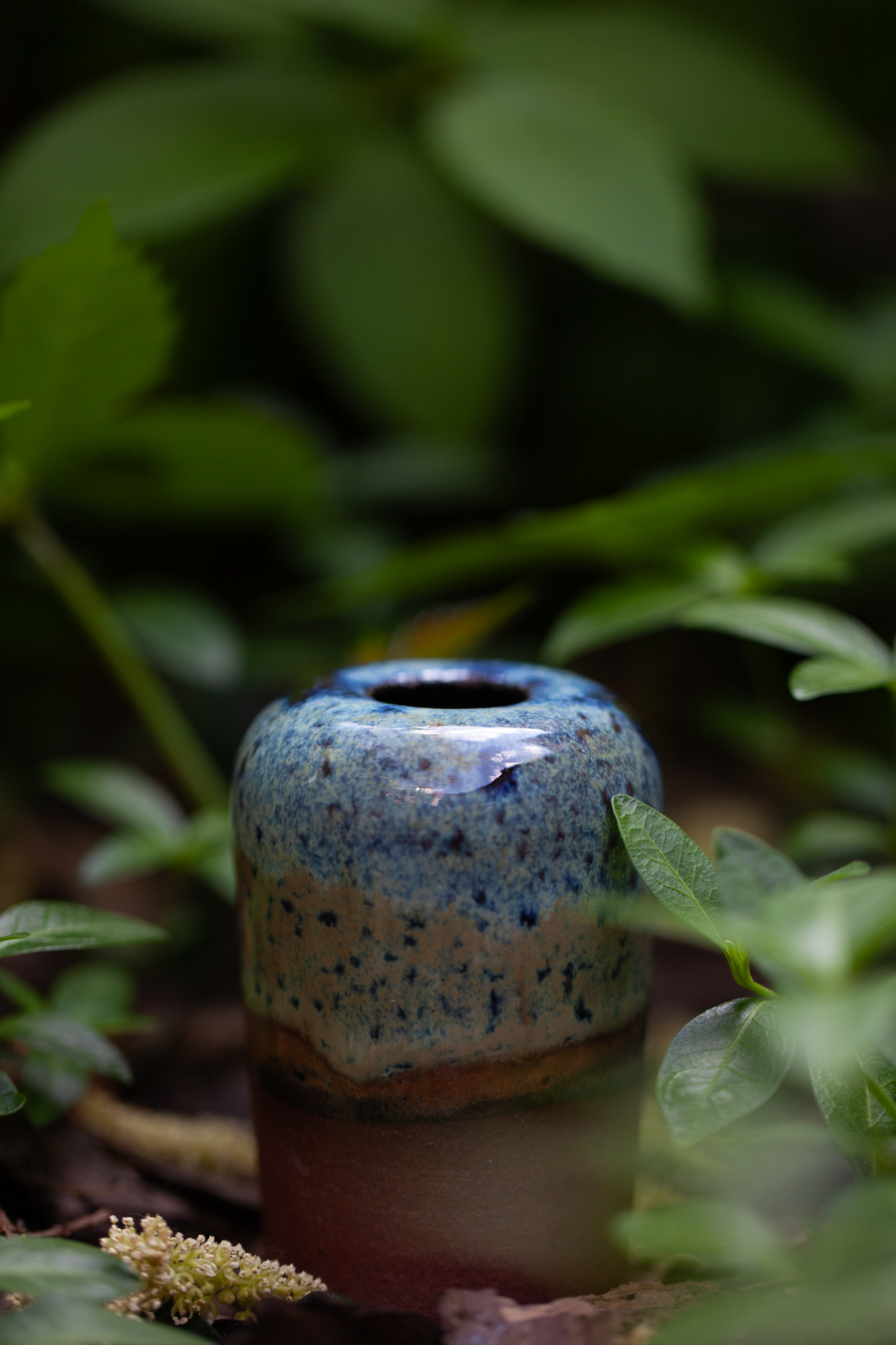 PYKACZ ZIEMIA / THE EARTH PUFFER