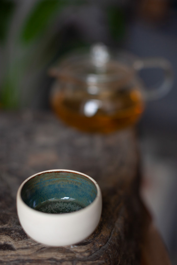THE EARTH CUP