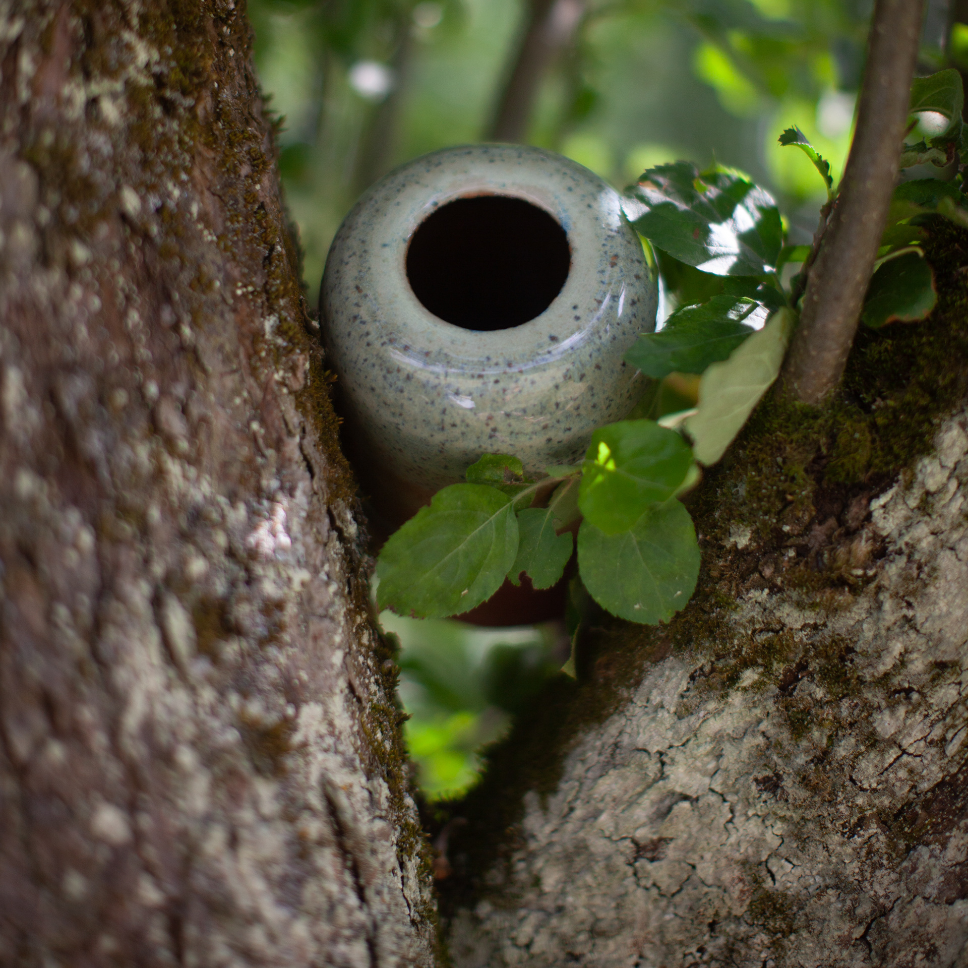 PYKACZ ZIEMIA / THE EARTH PUFFER