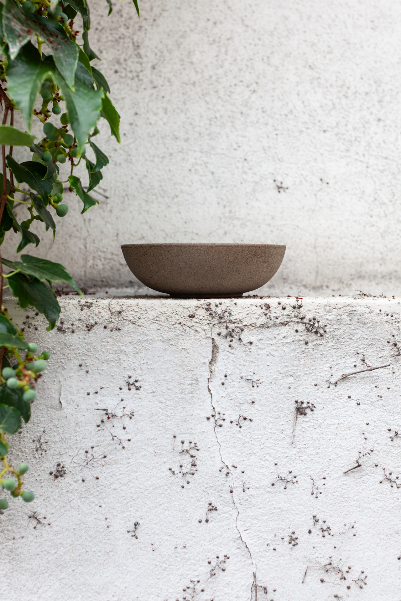 TAO WU WEI BOWL