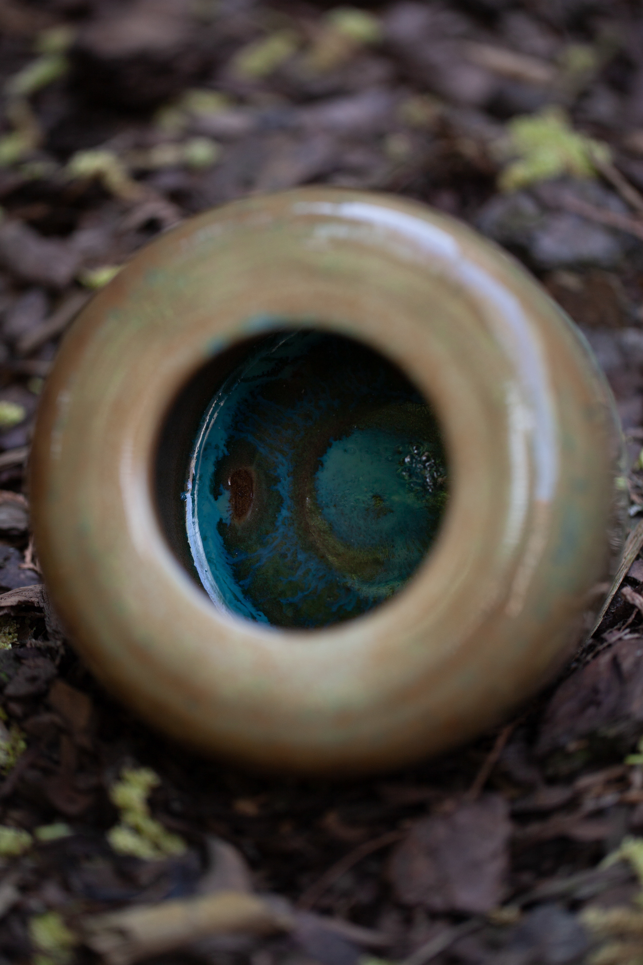 PYKACZ ZIEMIA / THE EARTH PUFFER