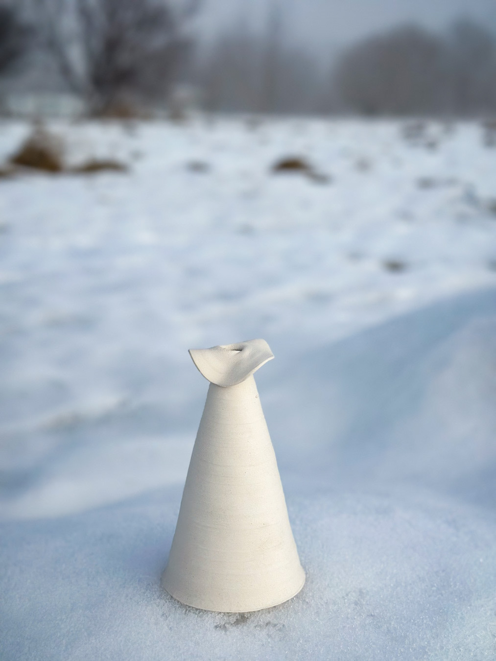 TOTEM #1