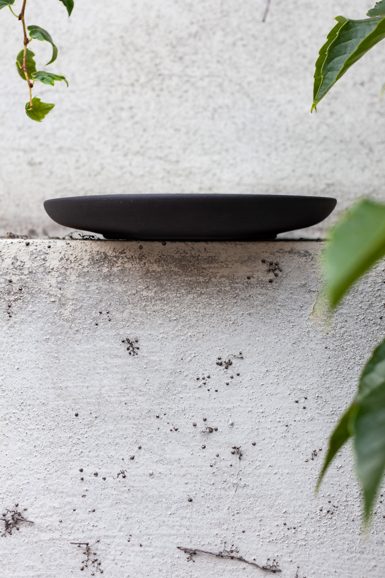 TAO PLATE
