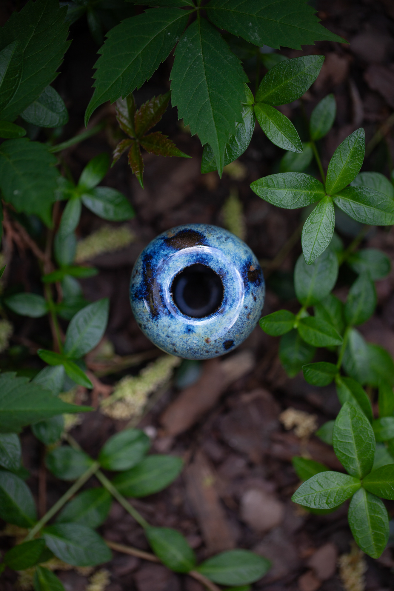 PYKACZ ZIEMIA / THE EARTH PUFFER