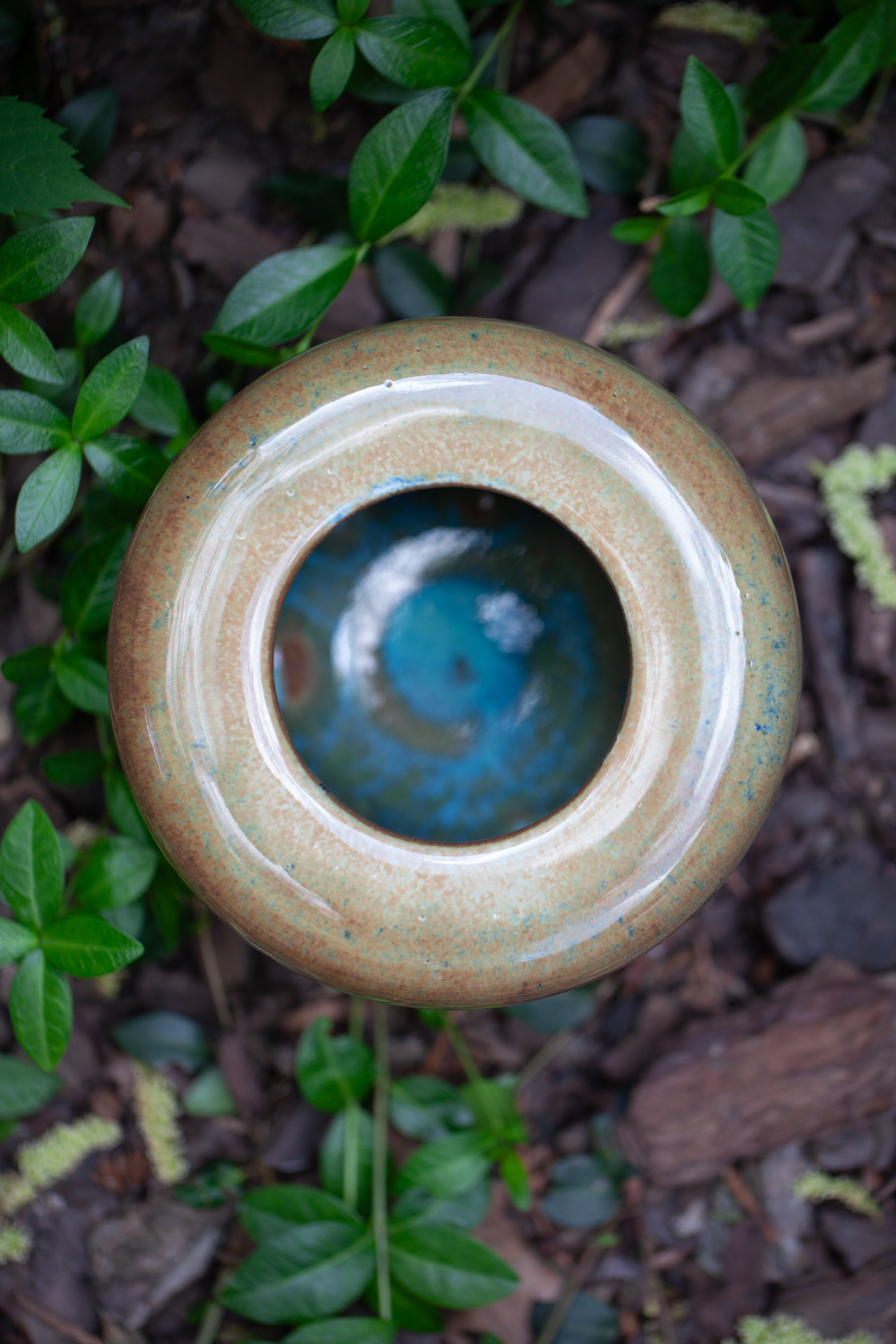 PYKACZ ZIEMIA / THE EARTH PUFFER