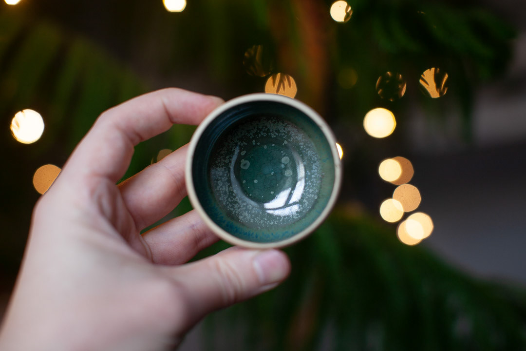 THE EARTH CUP
