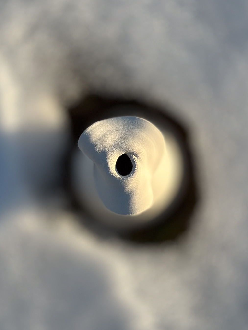 TOTEM #1