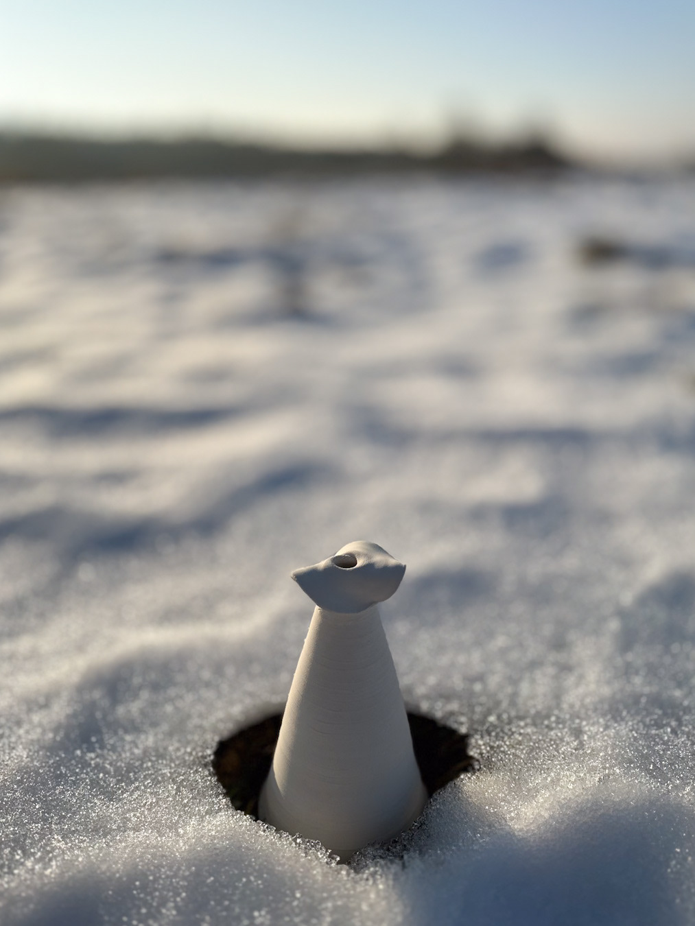 TOTEM #1