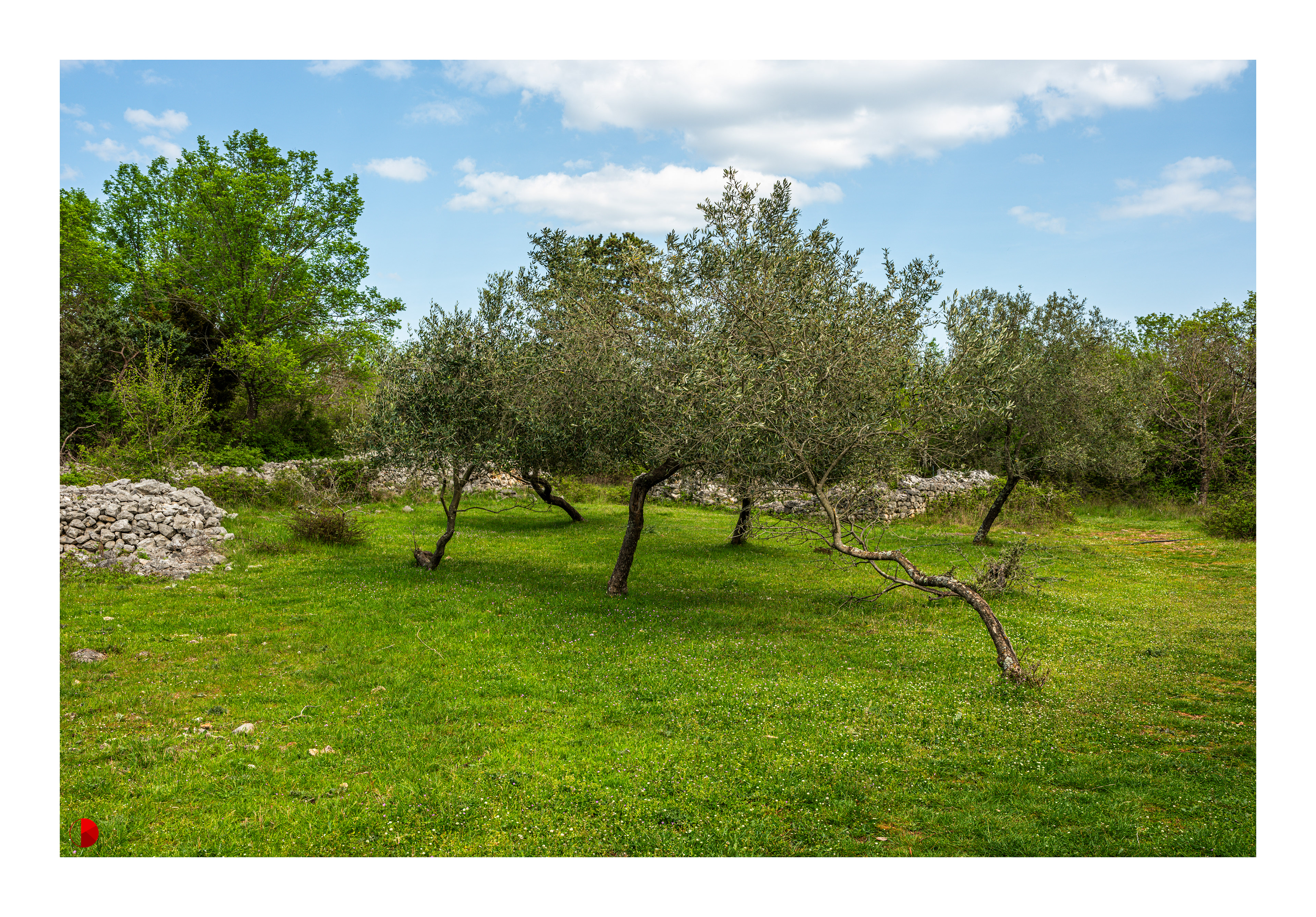 Fulfinum Mirine, Insel Krk, Kroatien