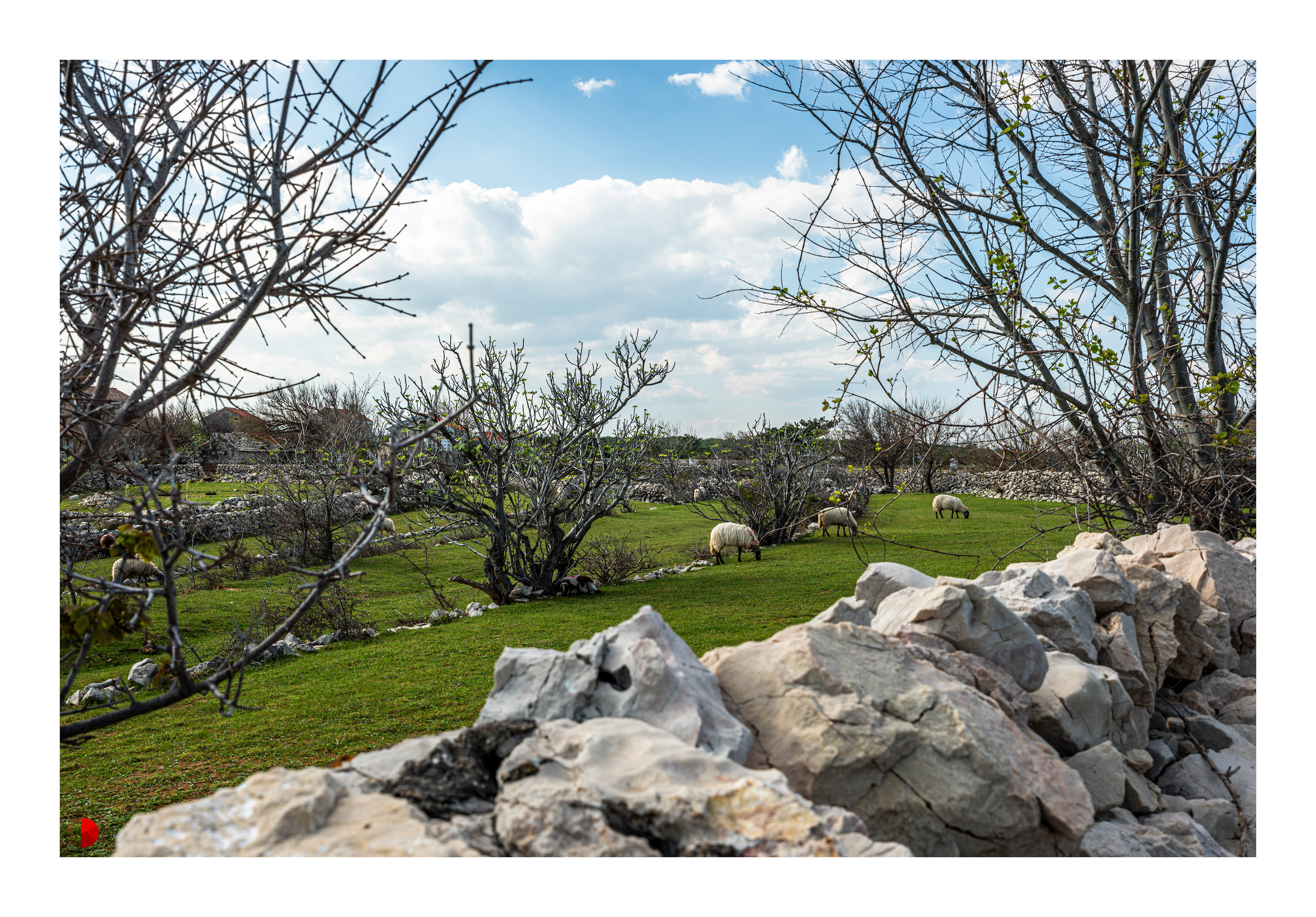 Rudine, Insel Krk, Kroatien