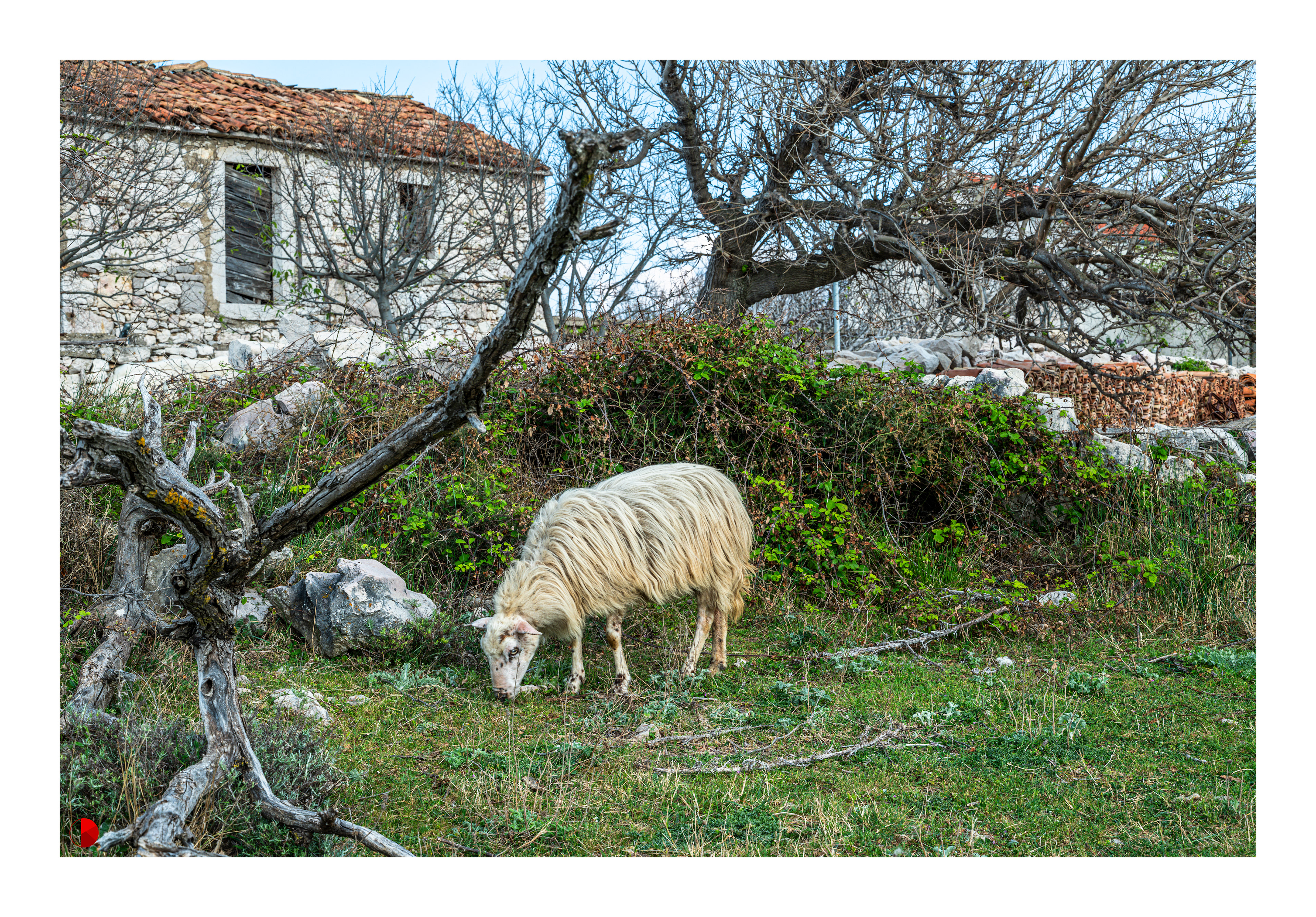 Rudine, Island Krk, Croatia