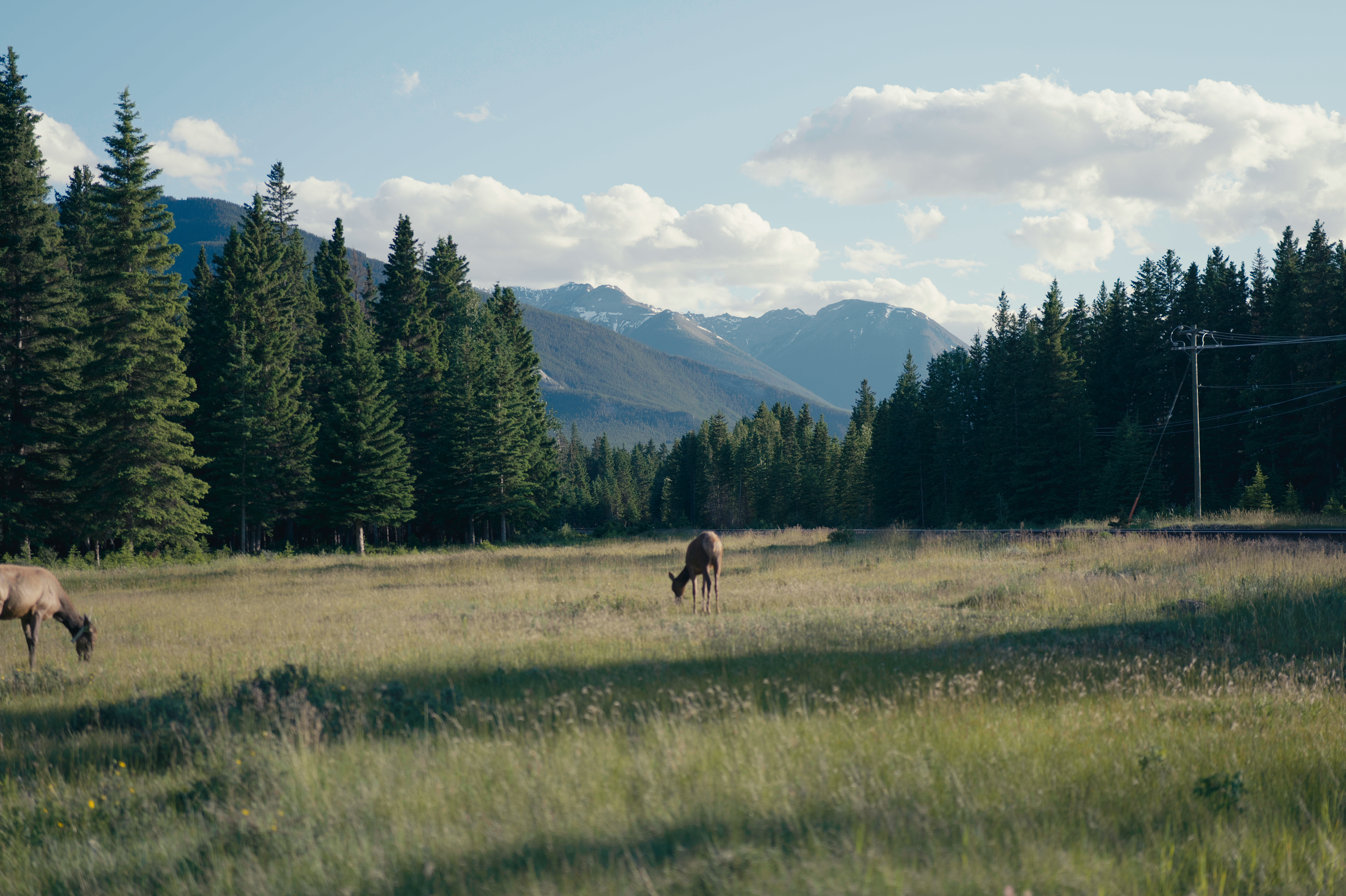 Alberta, Canada