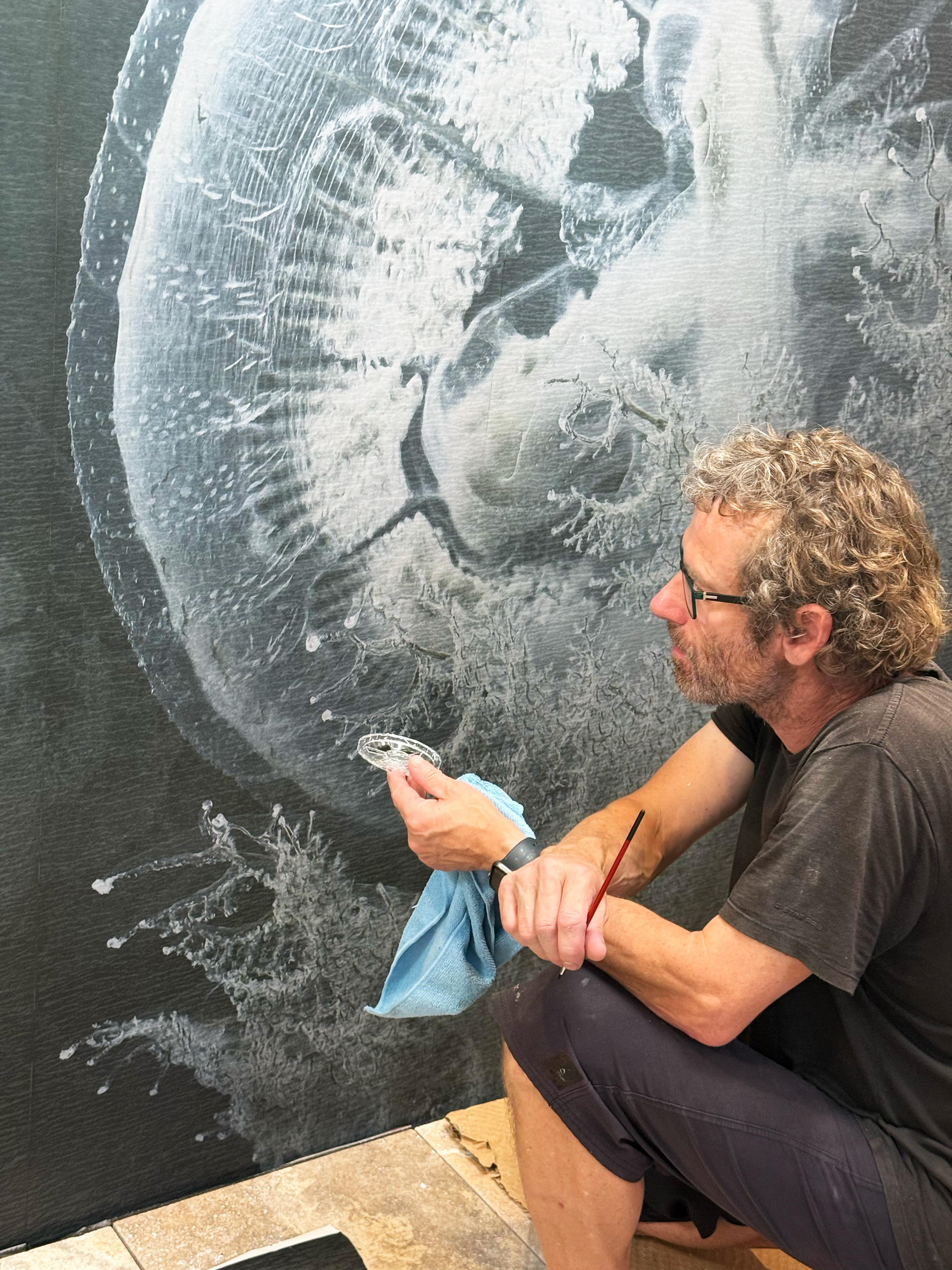 Production image for Jellyfish ‘Ghost in the Current’ ©LiamLynchPhotography