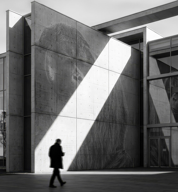 Site studies and material exploration