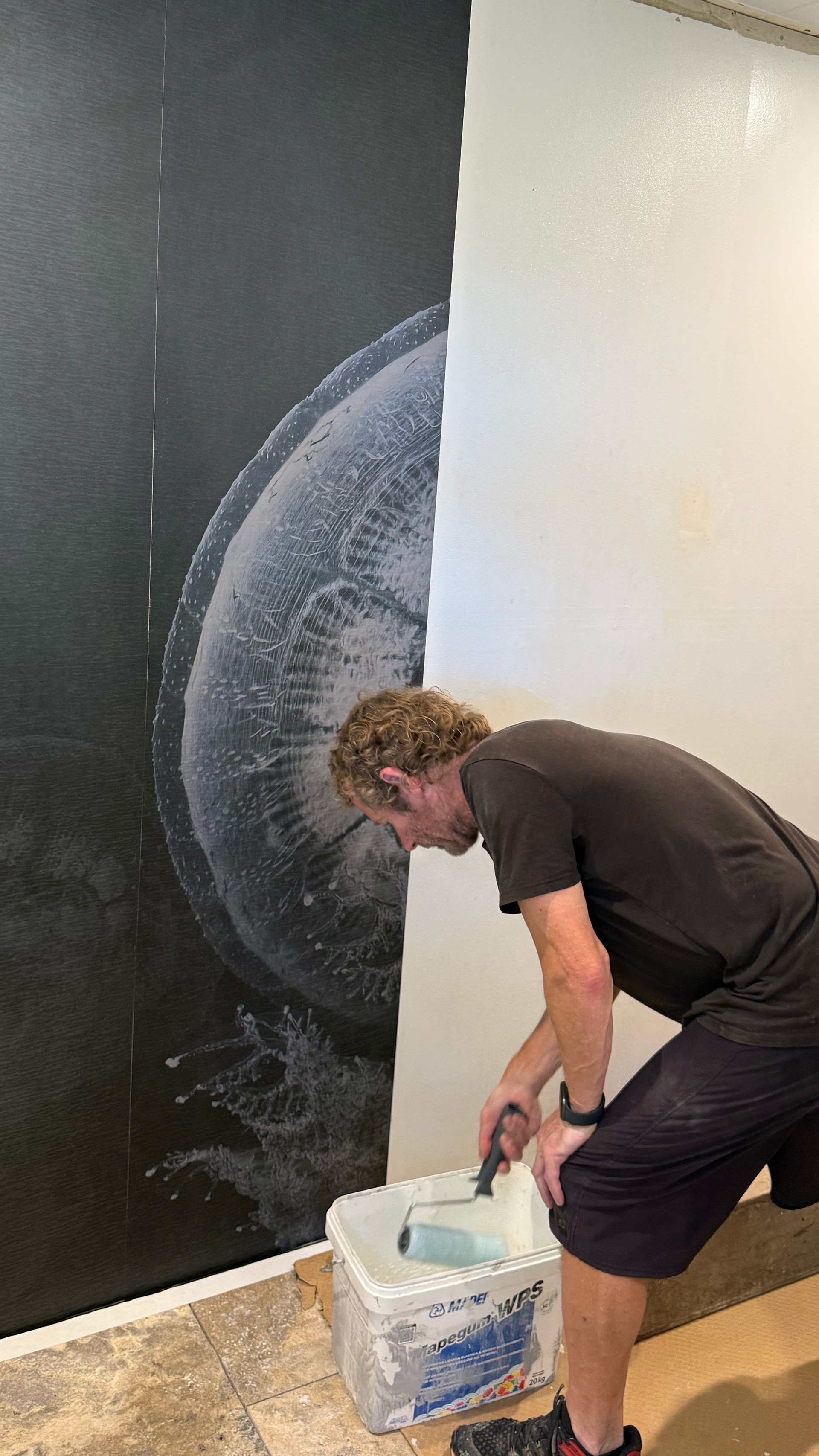 Production image for Jellyfish ‘Ghost in the Current’ ©LiamLynchPhotography
