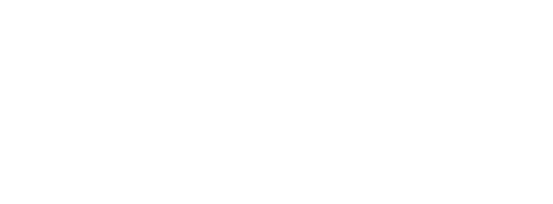 Dan Hodous Designs