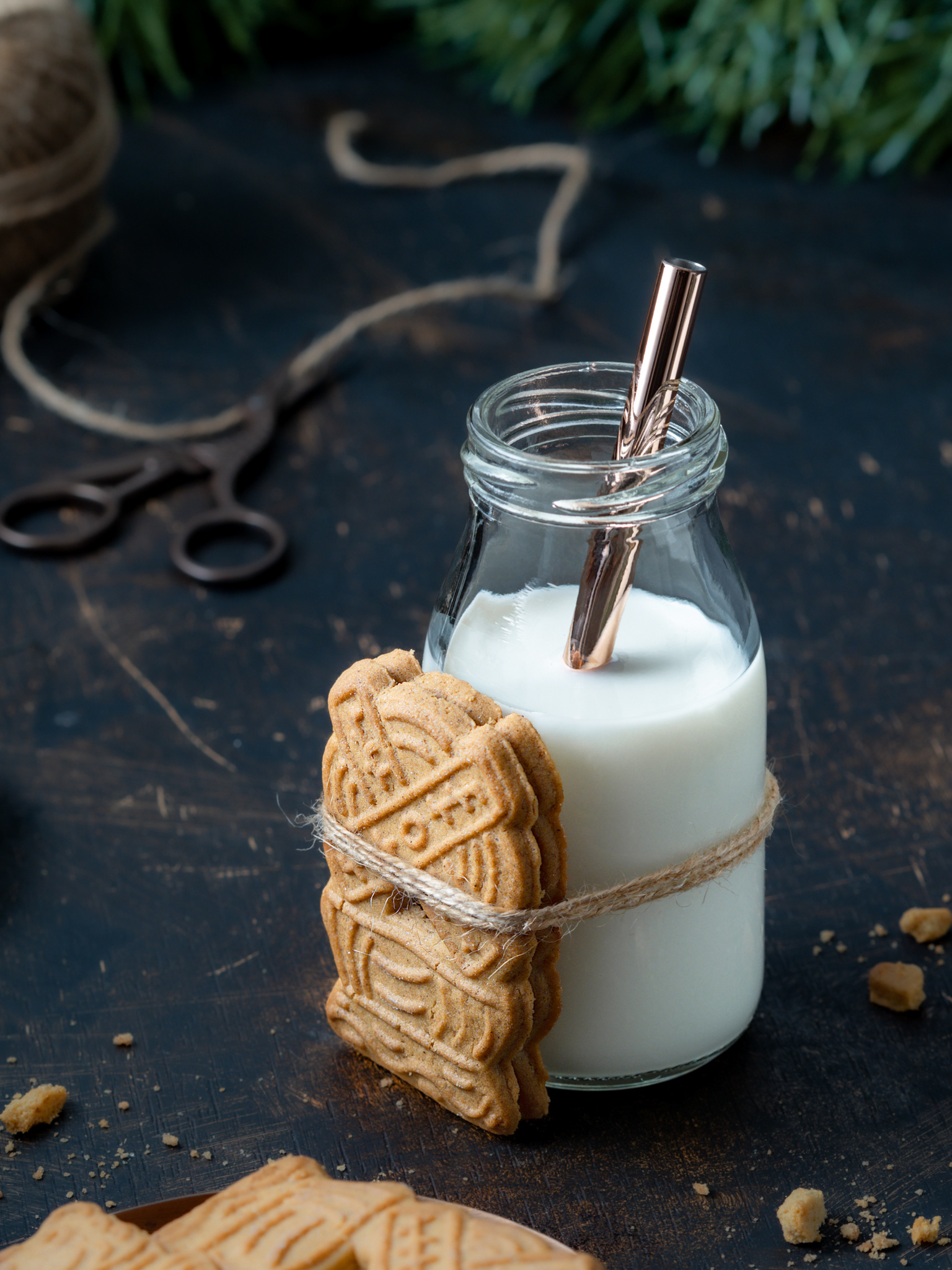 Bisquits with Bottle of milk - Dark and Moody - author Jana Kollarova