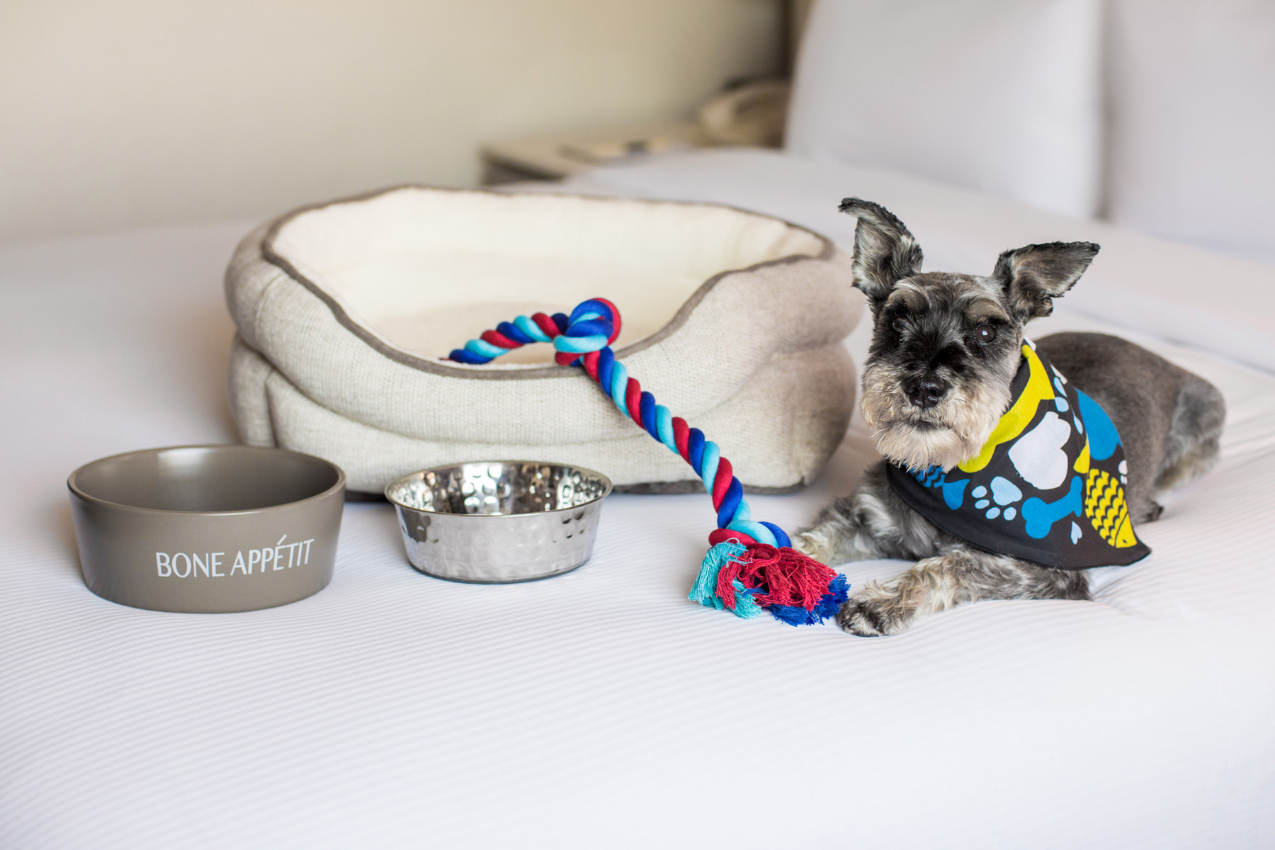 Doubletree by Hilton Jersey City - Pet Package