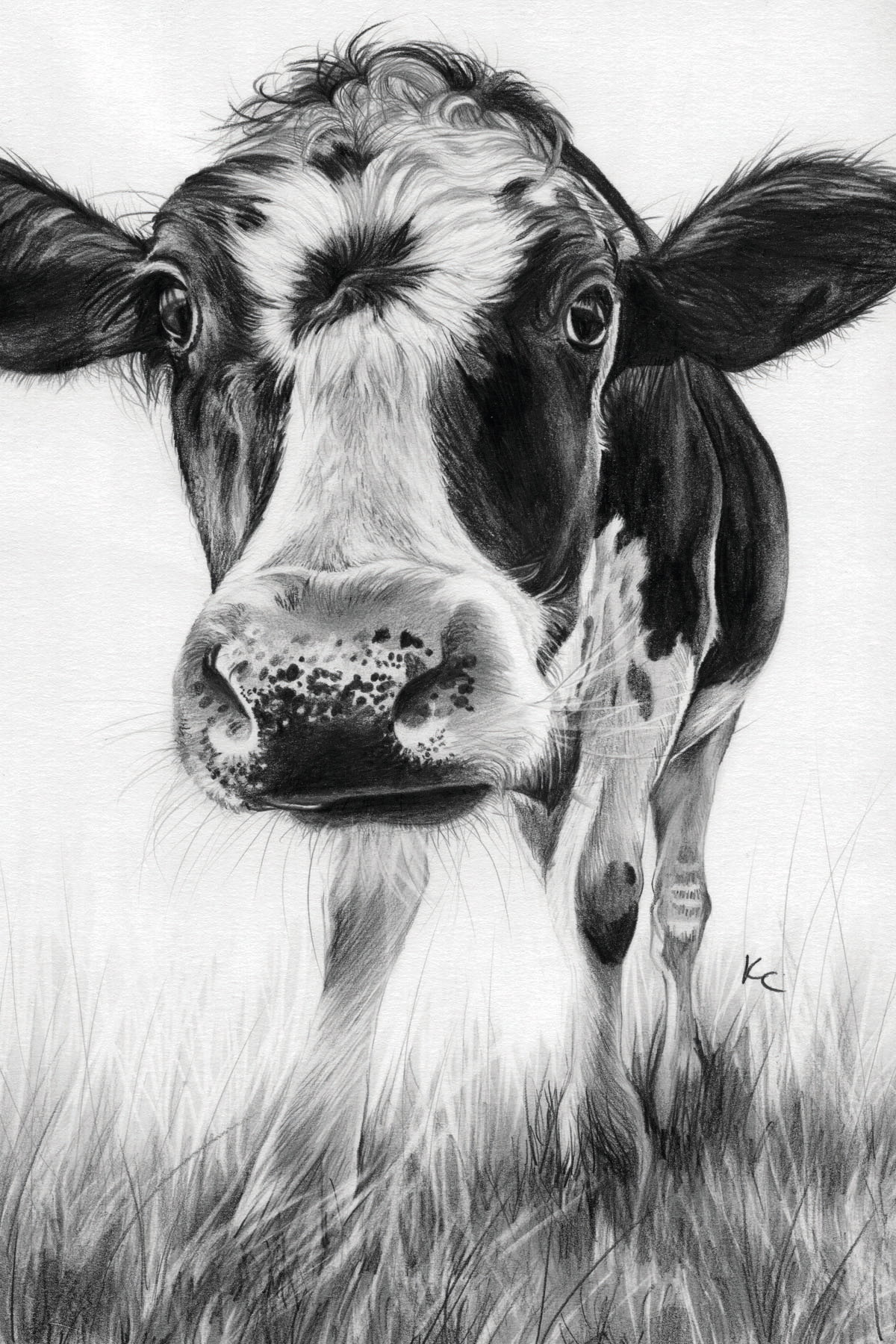 https://www.etsy.com/uk/listing/1066667664/cow-art-print-cow-wall-art-cow-home?click_key=fde7f59300068c71e614e1883608d623dd5f27c4%3A1066667664&click_sum=2cc200c7&ref=shop_home_recs_3&frs=1