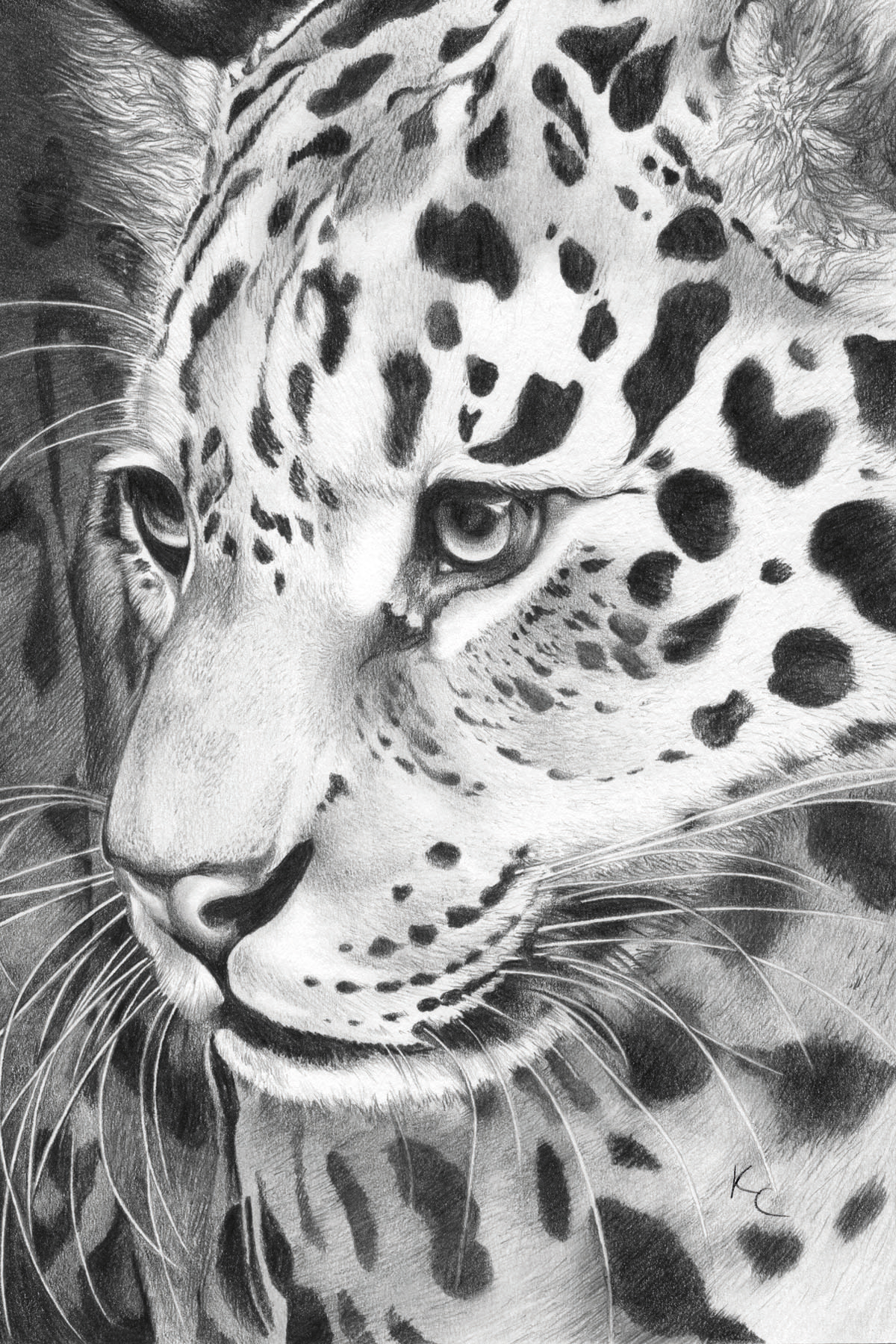 https://www.etsy.com/uk/listing/1058074507/leopard-art-print-leopard-print-big-cat?click_key=3edf8c65916f0bdbee65334734526ab075cb821a%3A1058074507&click_sum=cba85201&ref=shop_home_recs_9&frs=1